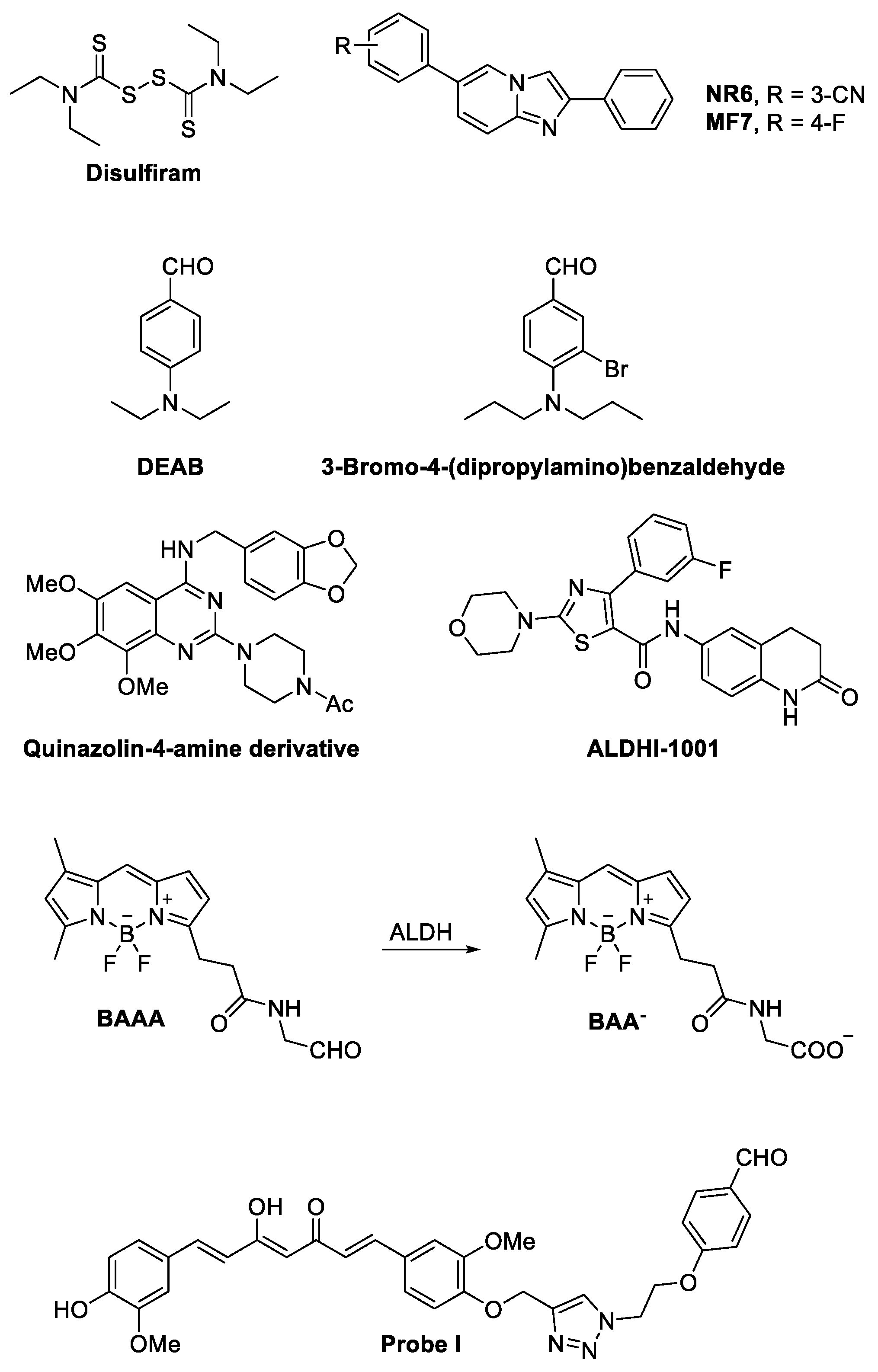 Cancers 16 02397 g004