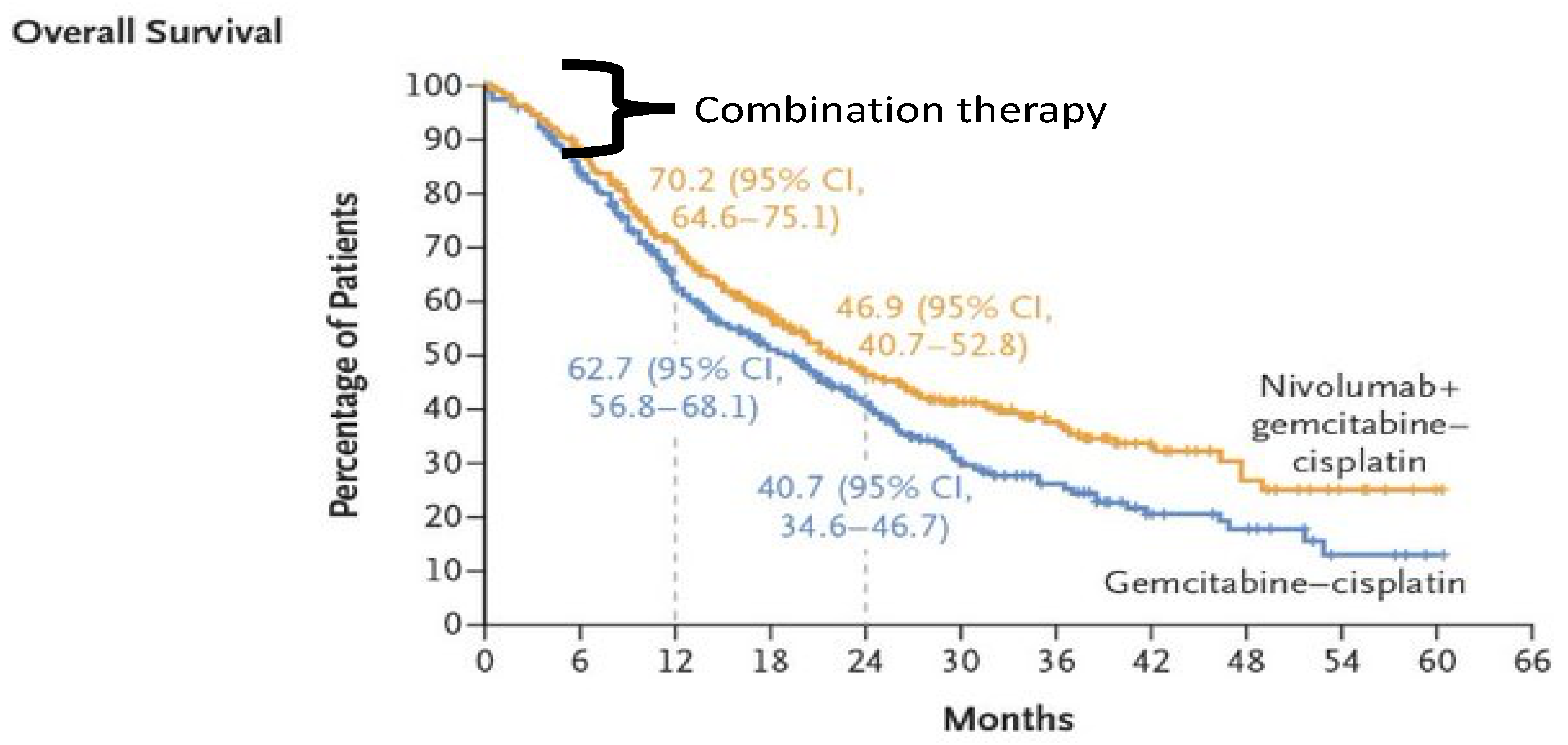 Cancers 16 02398 g001