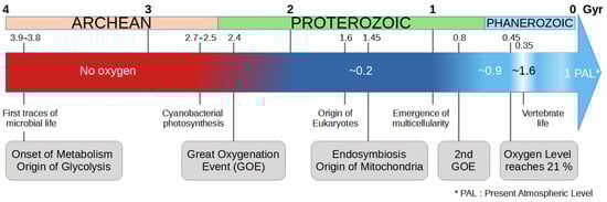 Cancers 16 02415 g001