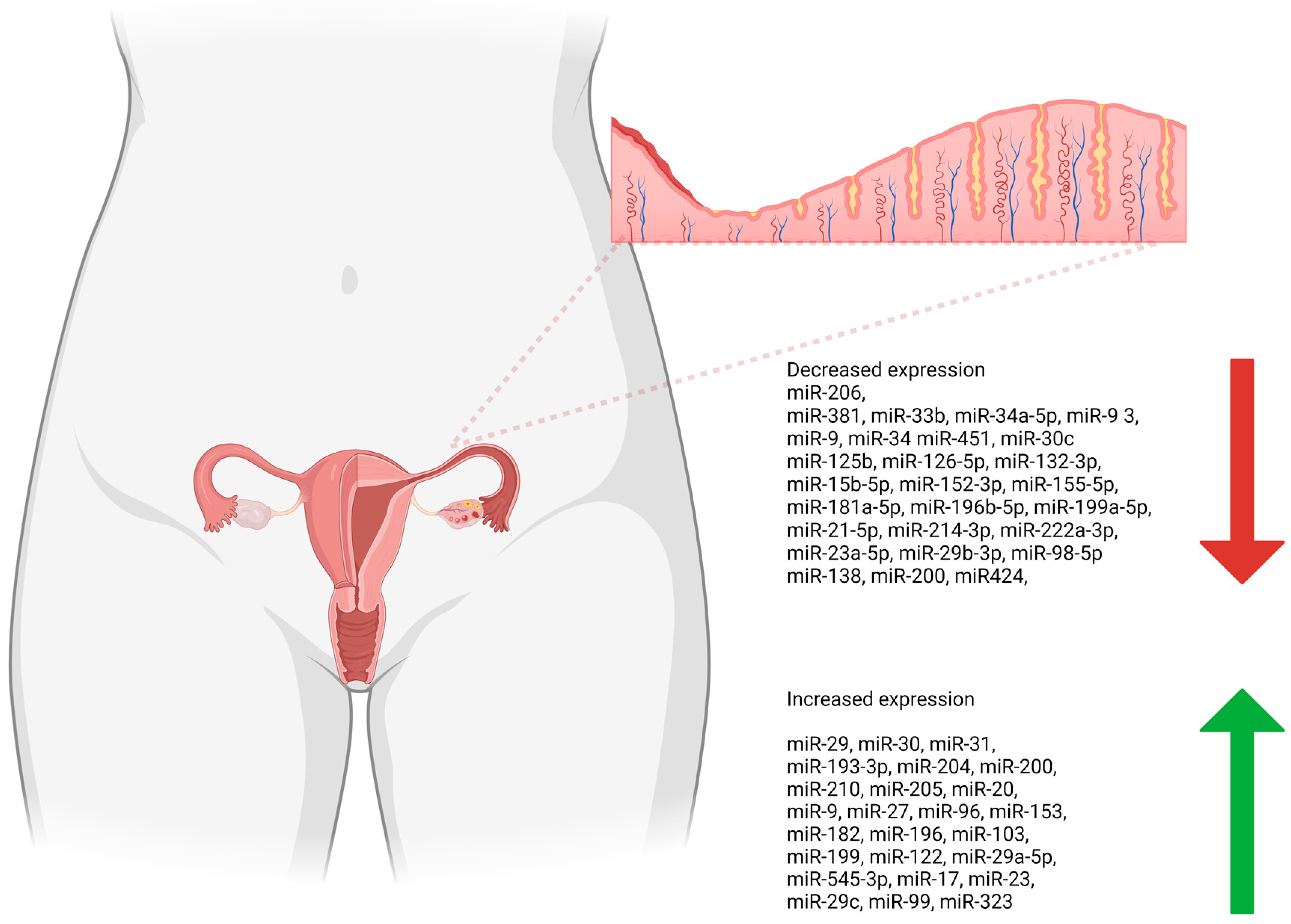 Cancers 16 02416 g002