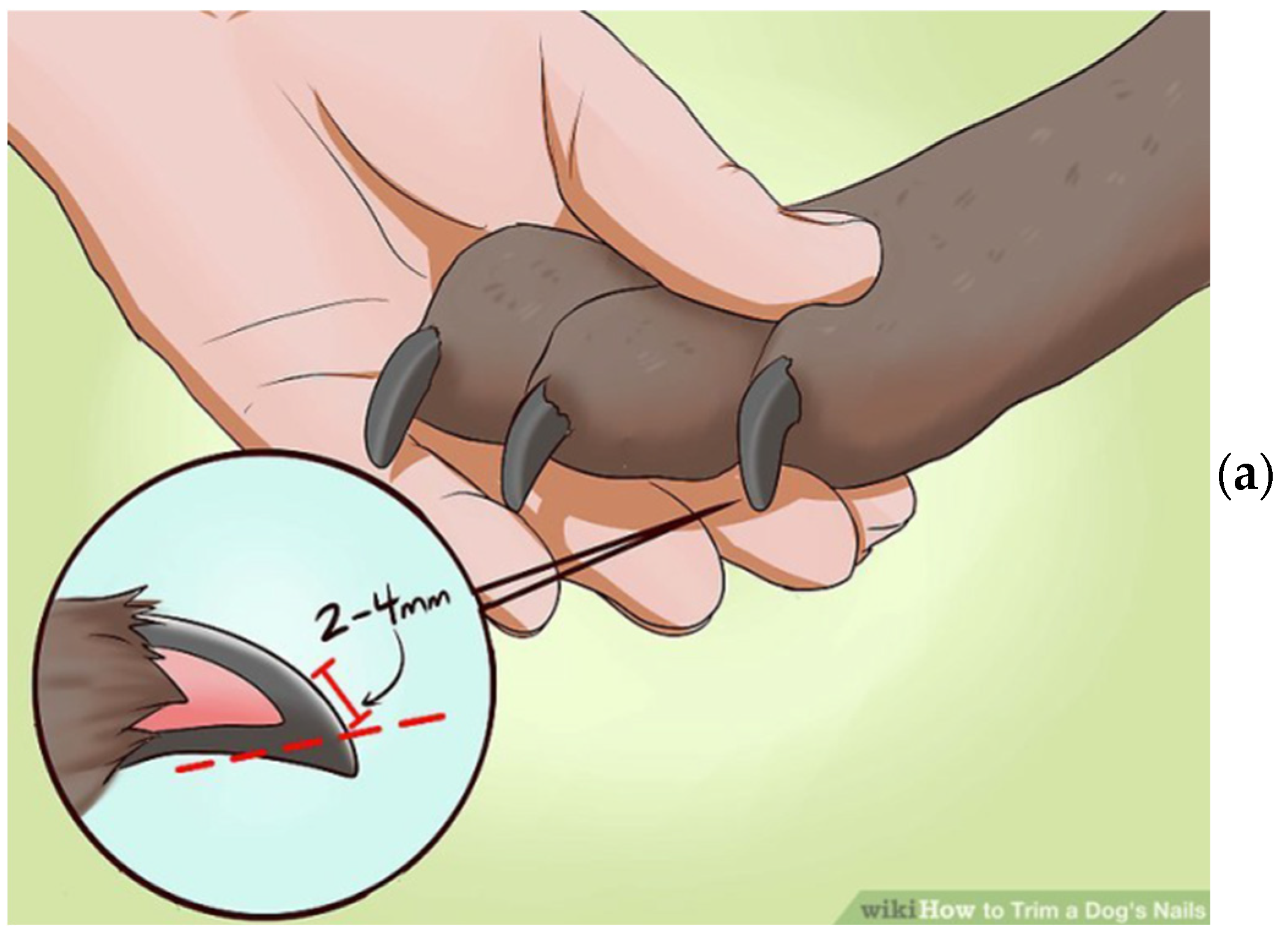 Cancers 16 02422 g001a