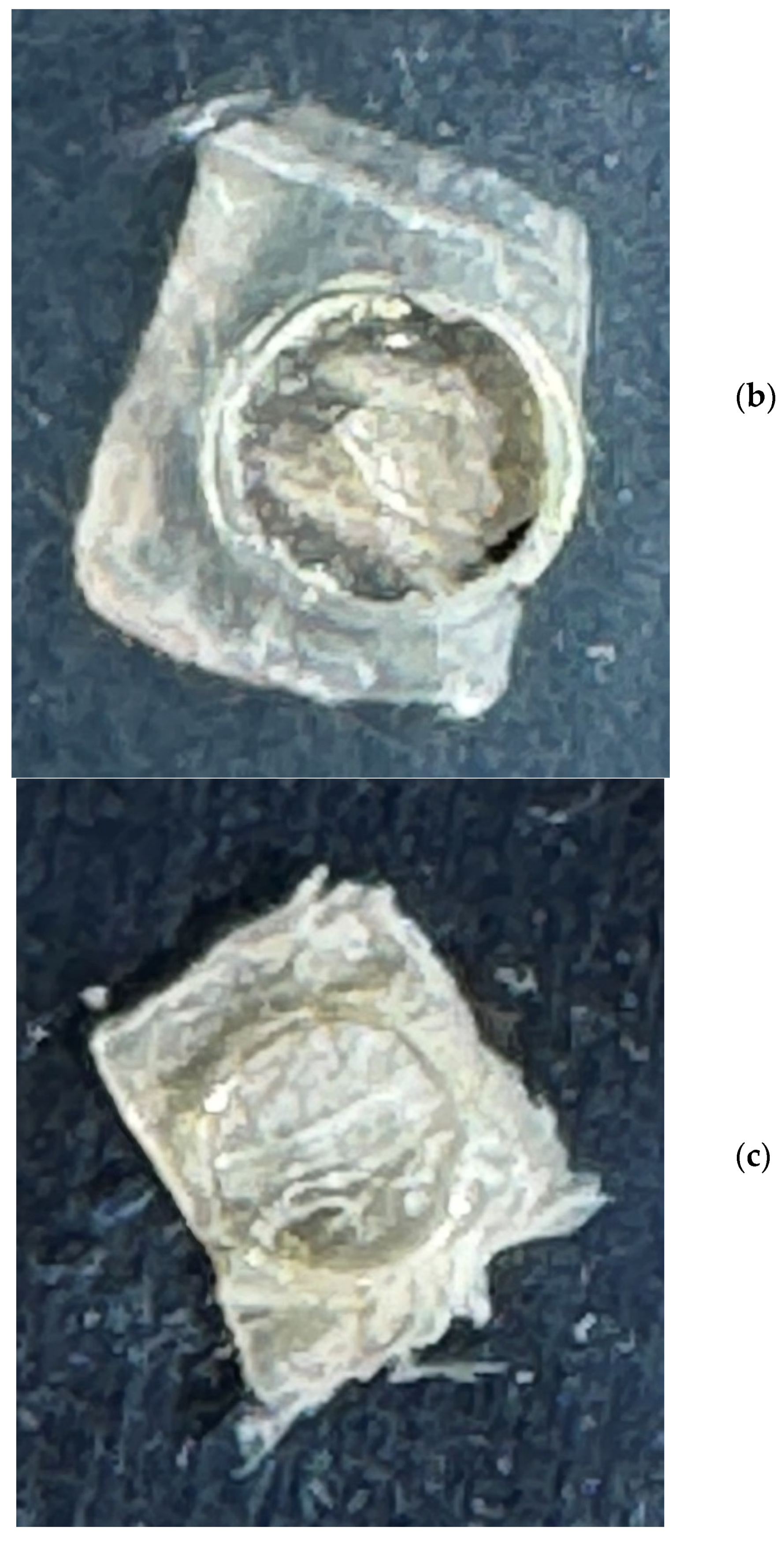 Cancers 16 02422 g001b