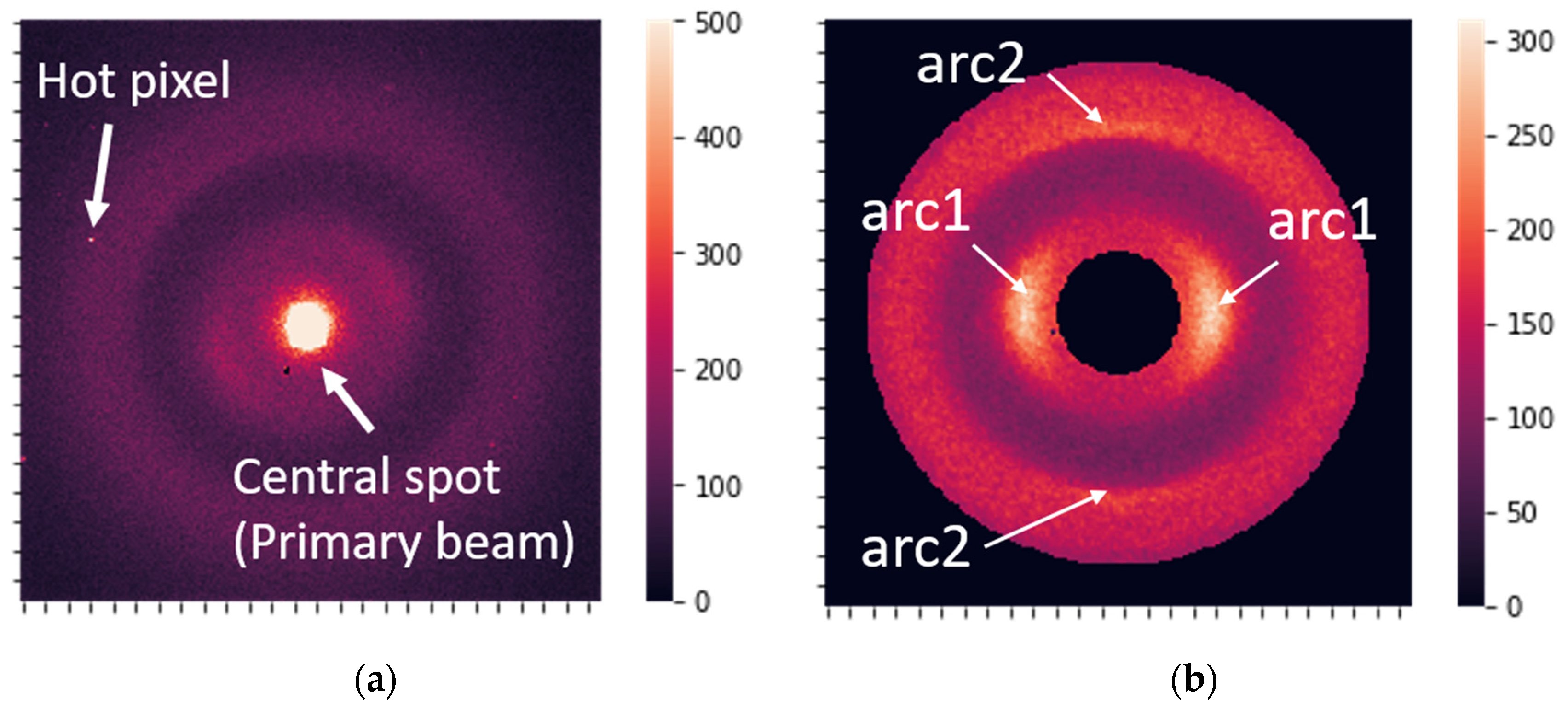 Cancers 16 02422 g002