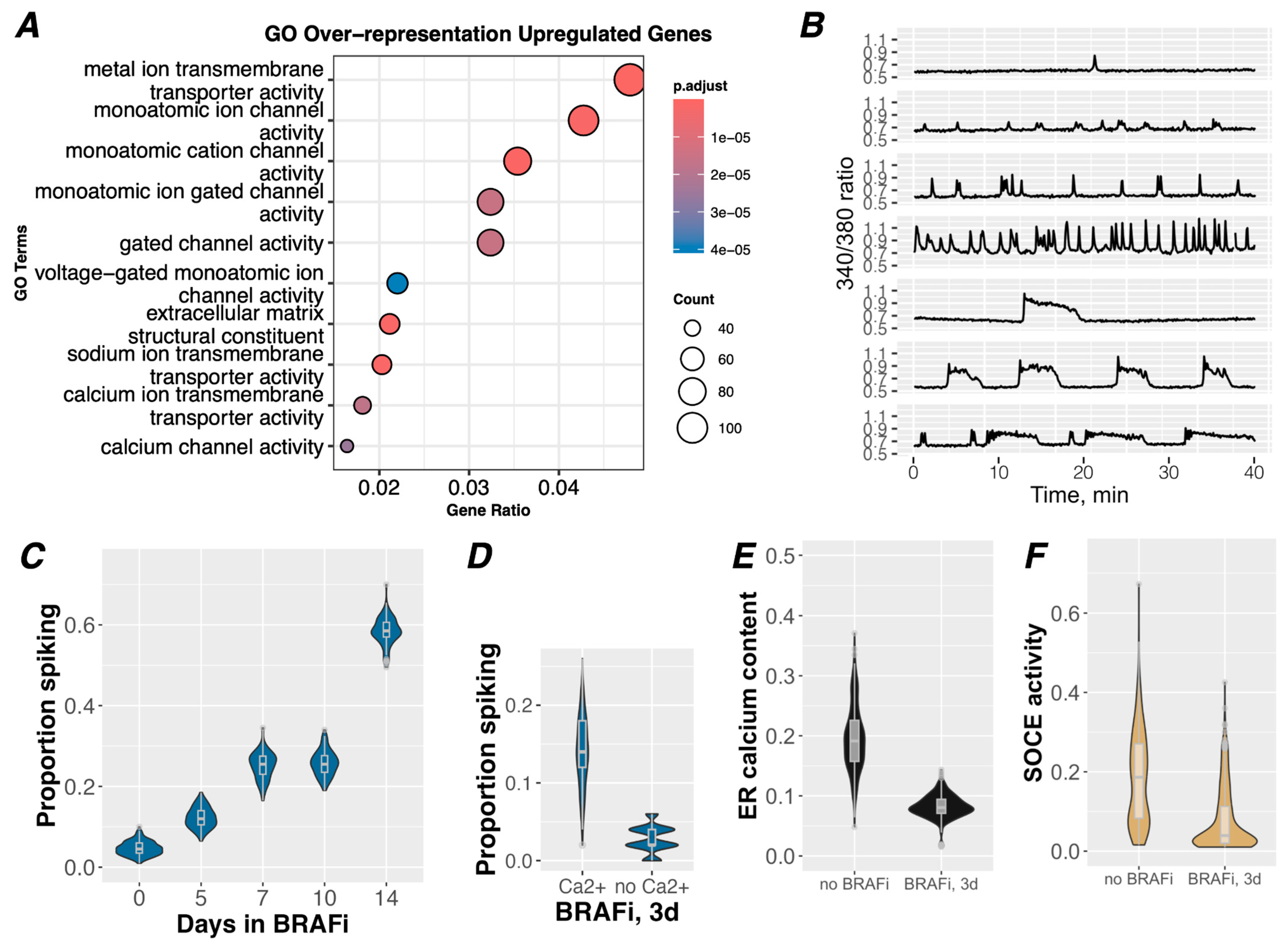 Cancers 16 02426 g001