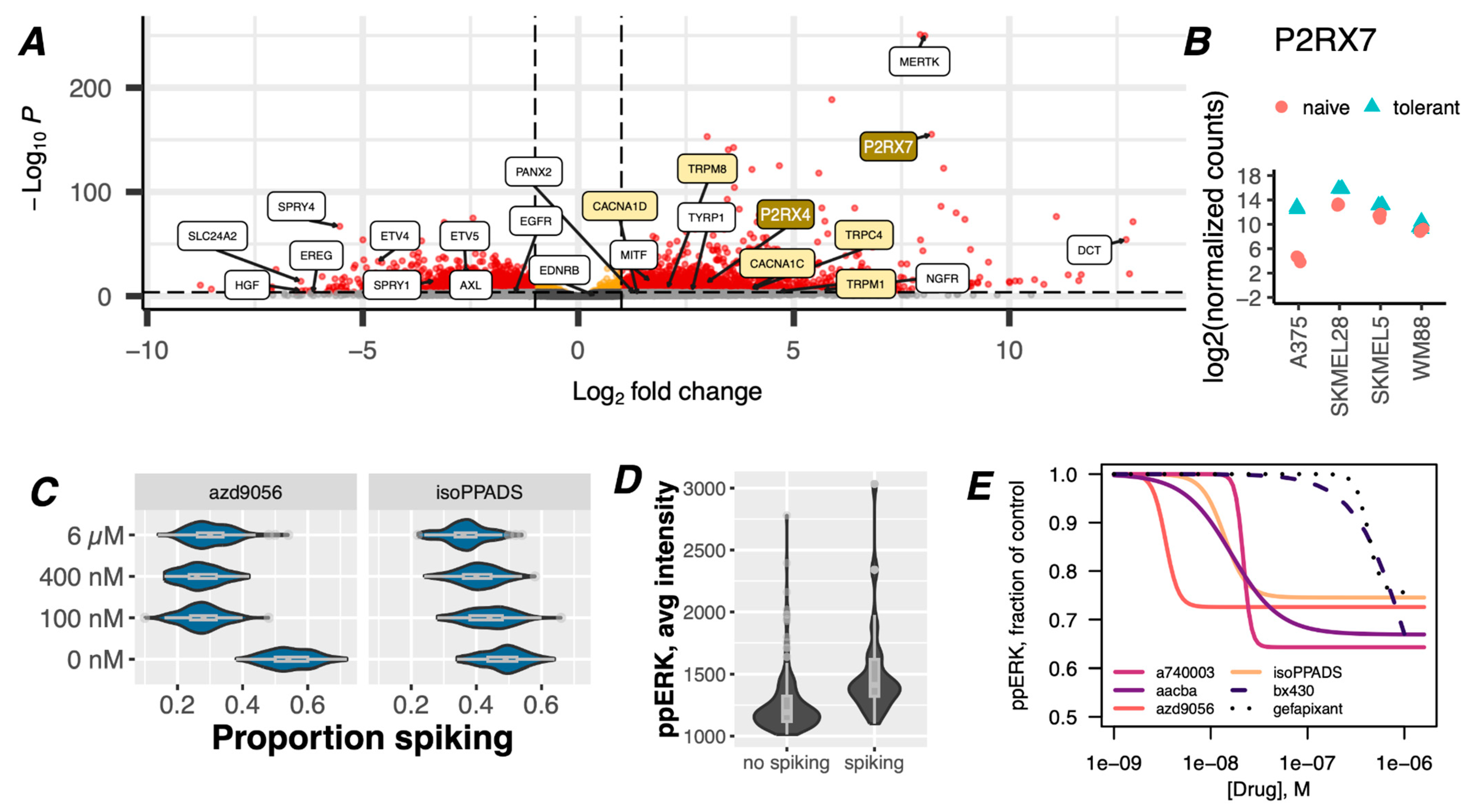 Cancers 16 02426 g002