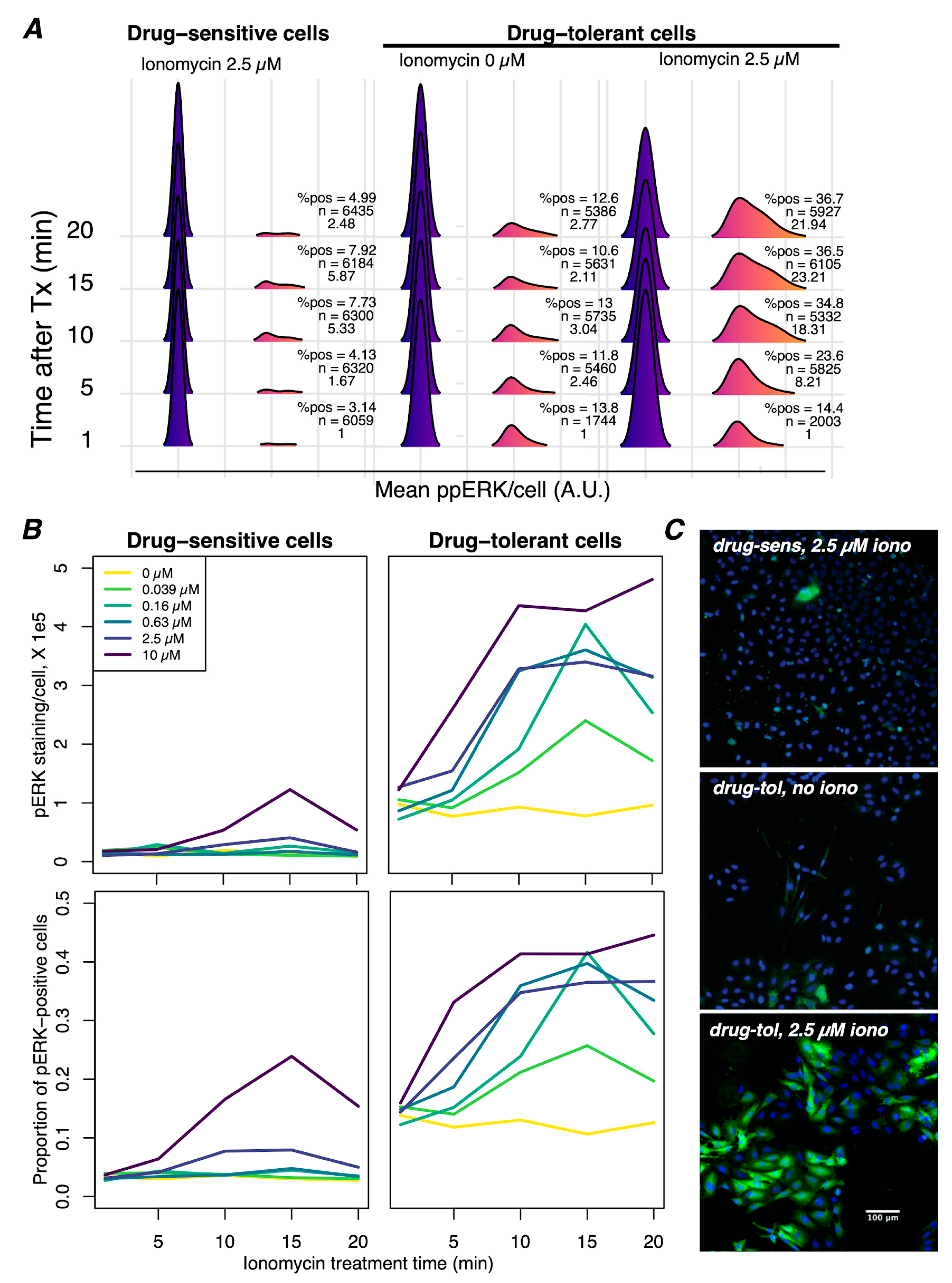 Cancers 16 02426 g004