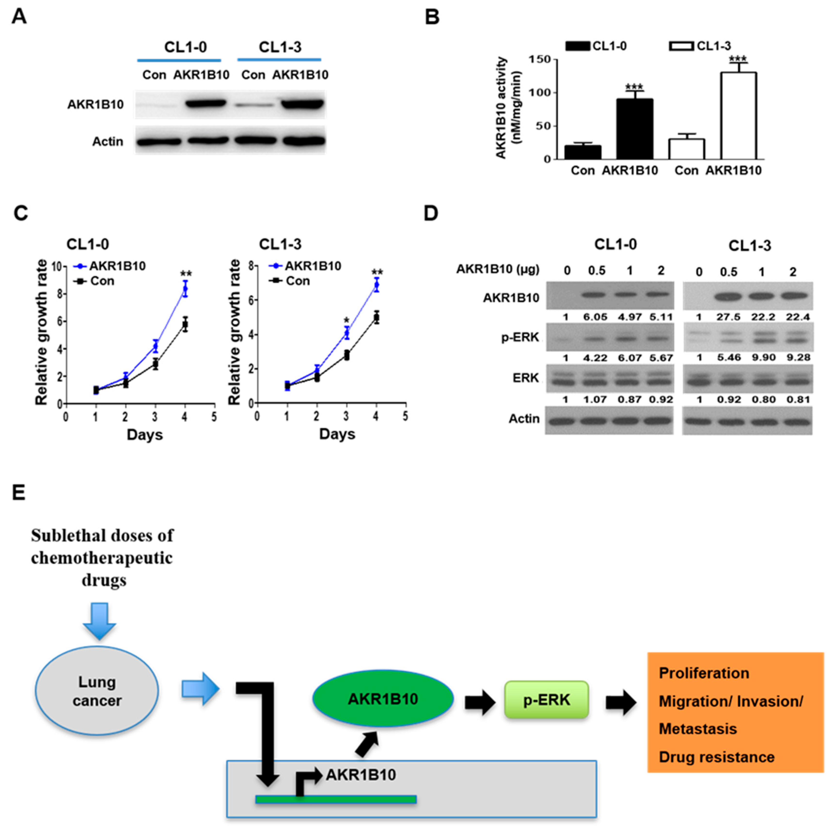 Cancers 16 02428 g006