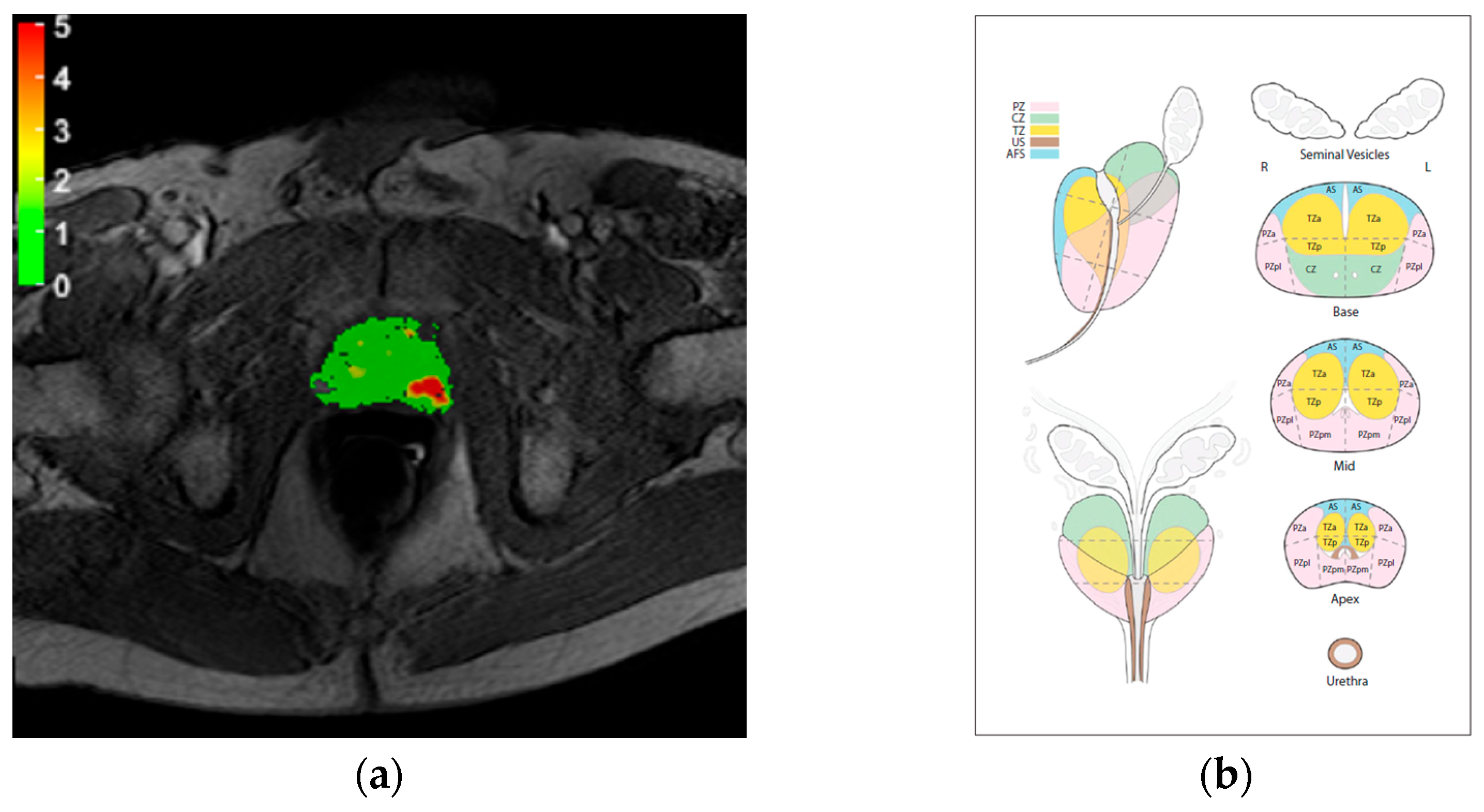 Cancers 16 02431 g001