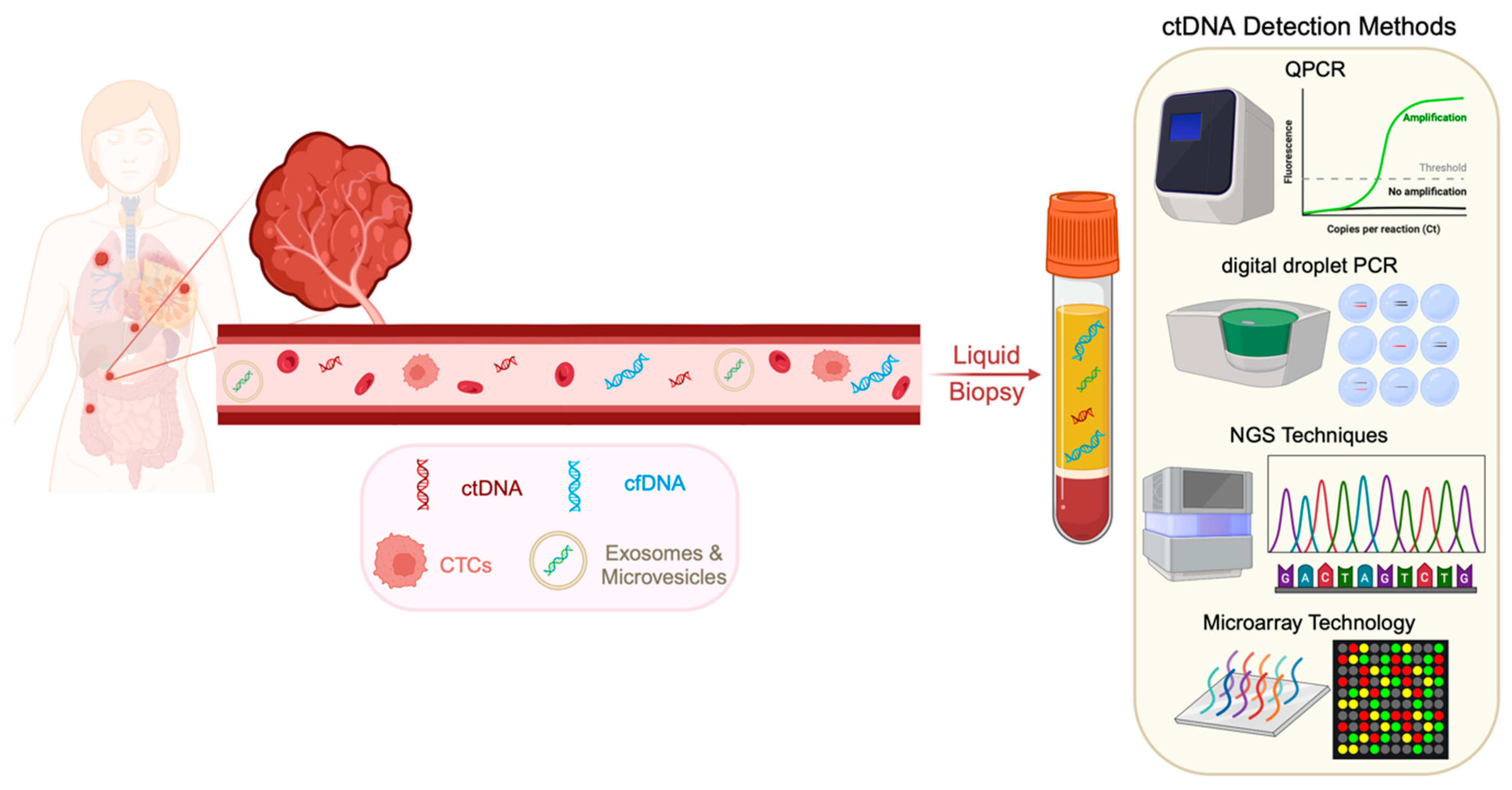 Cancers 16 02432 g002