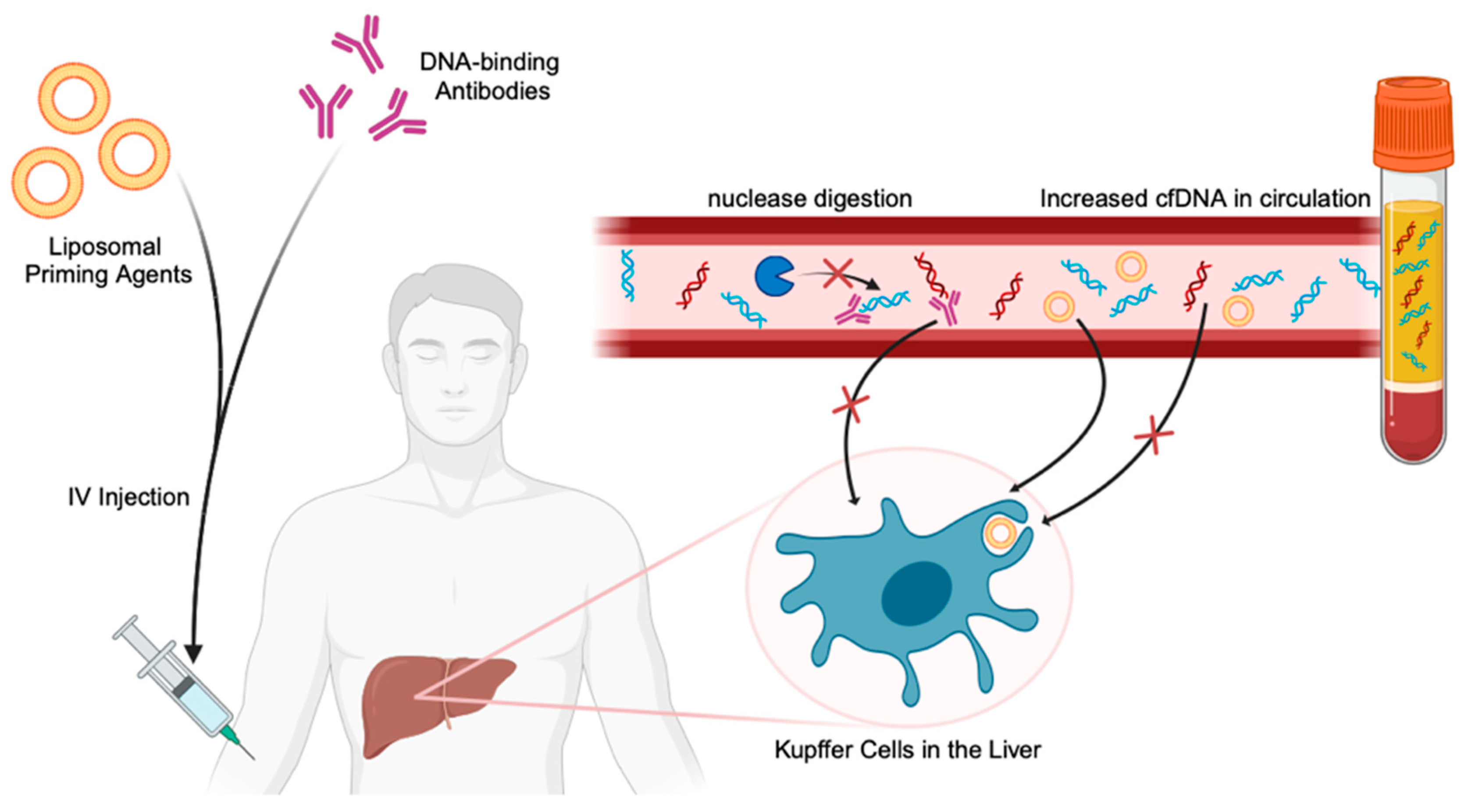 Cancers 16 02432 g004