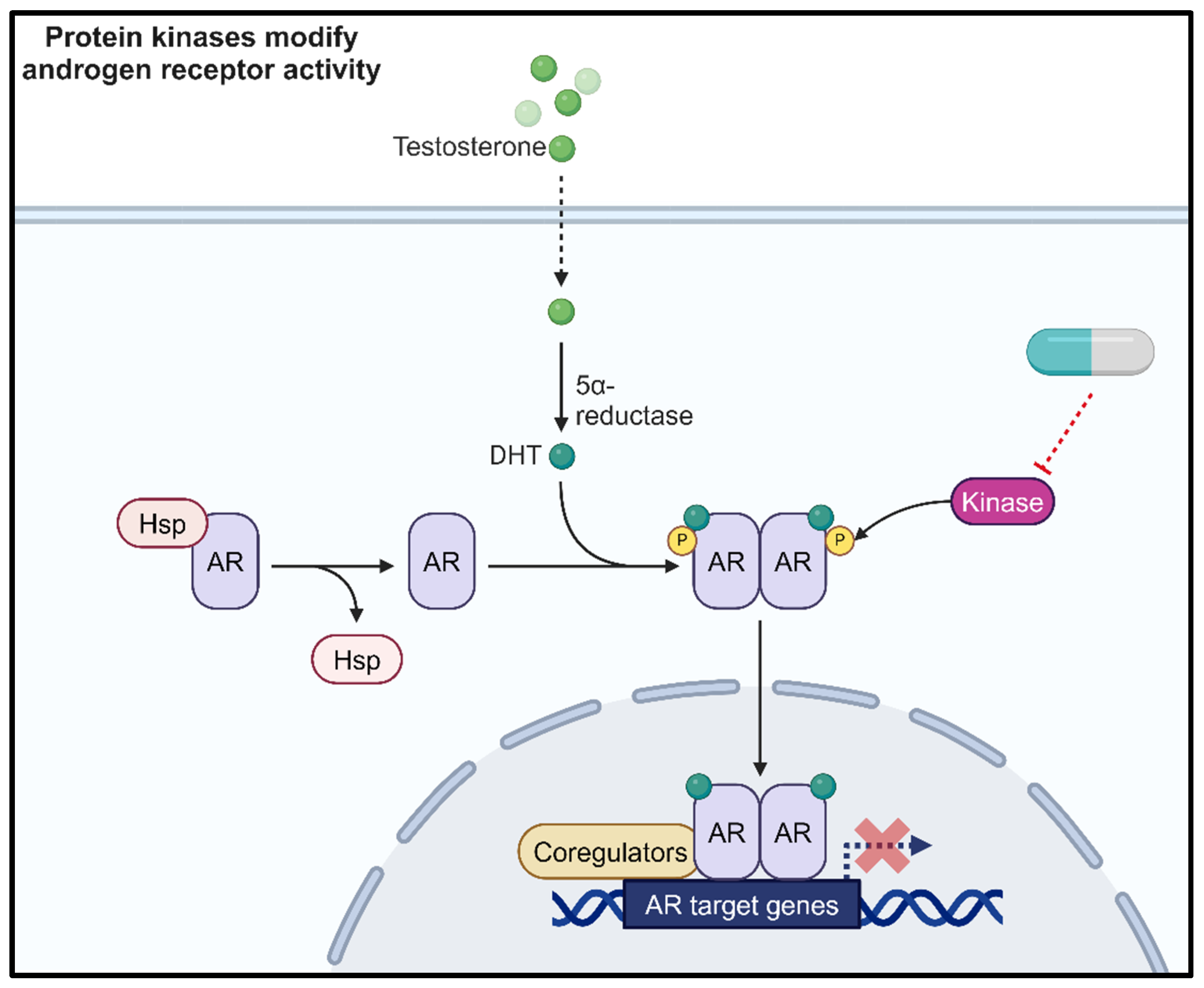 Cancers 16 02436 g001