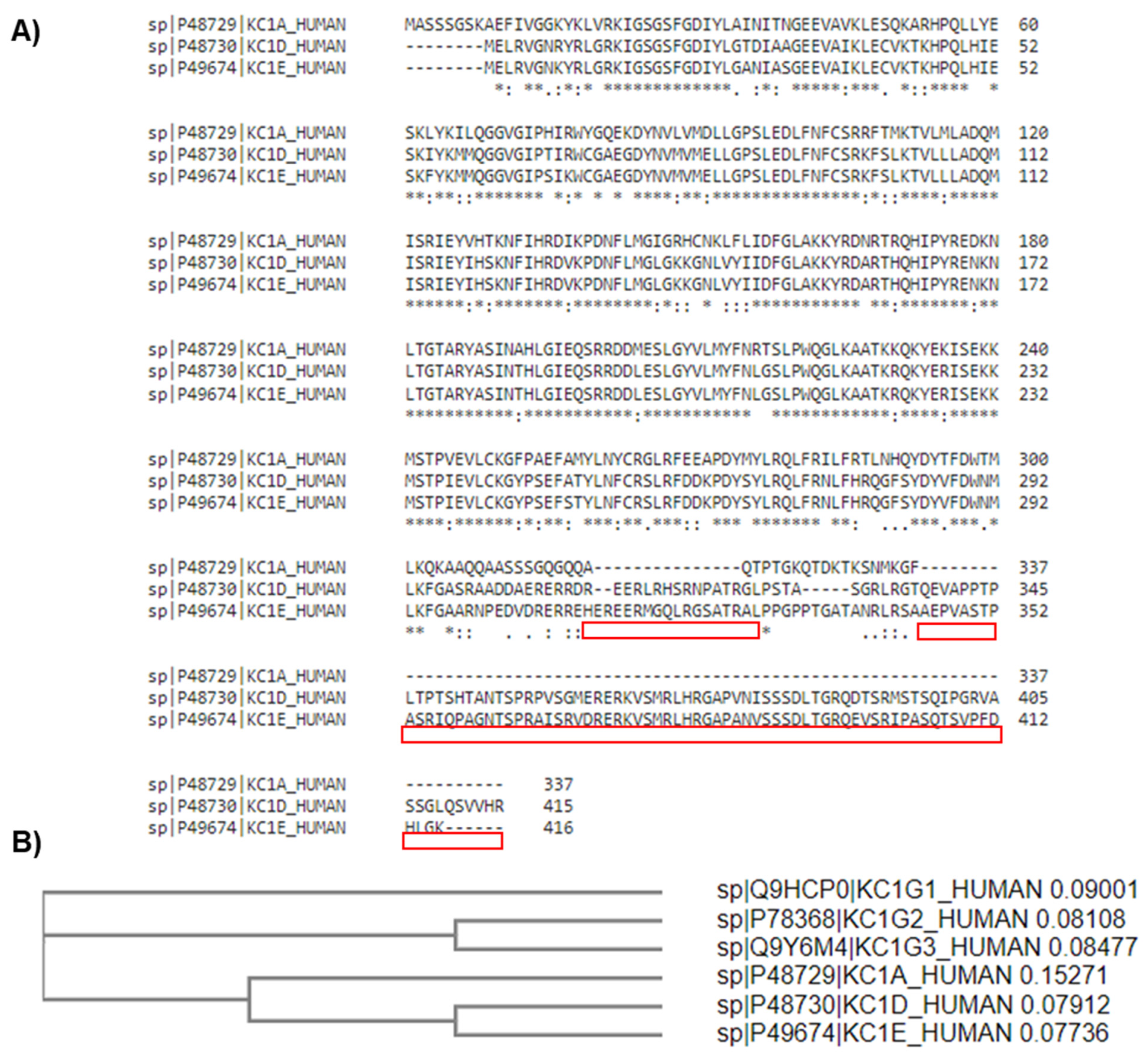 Cancers 16 02436 g002