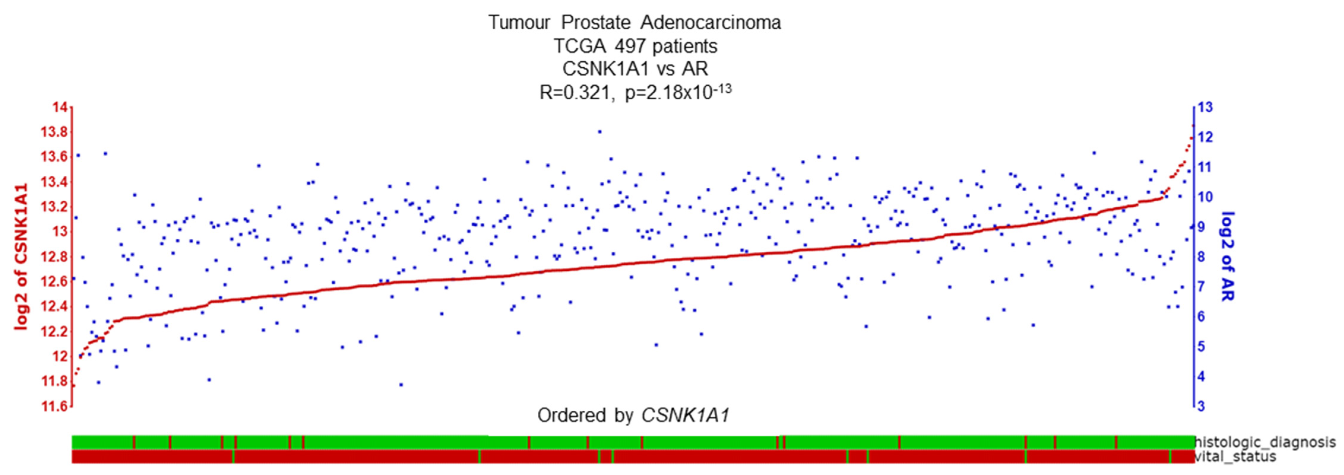 Cancers 16 02436 g007
