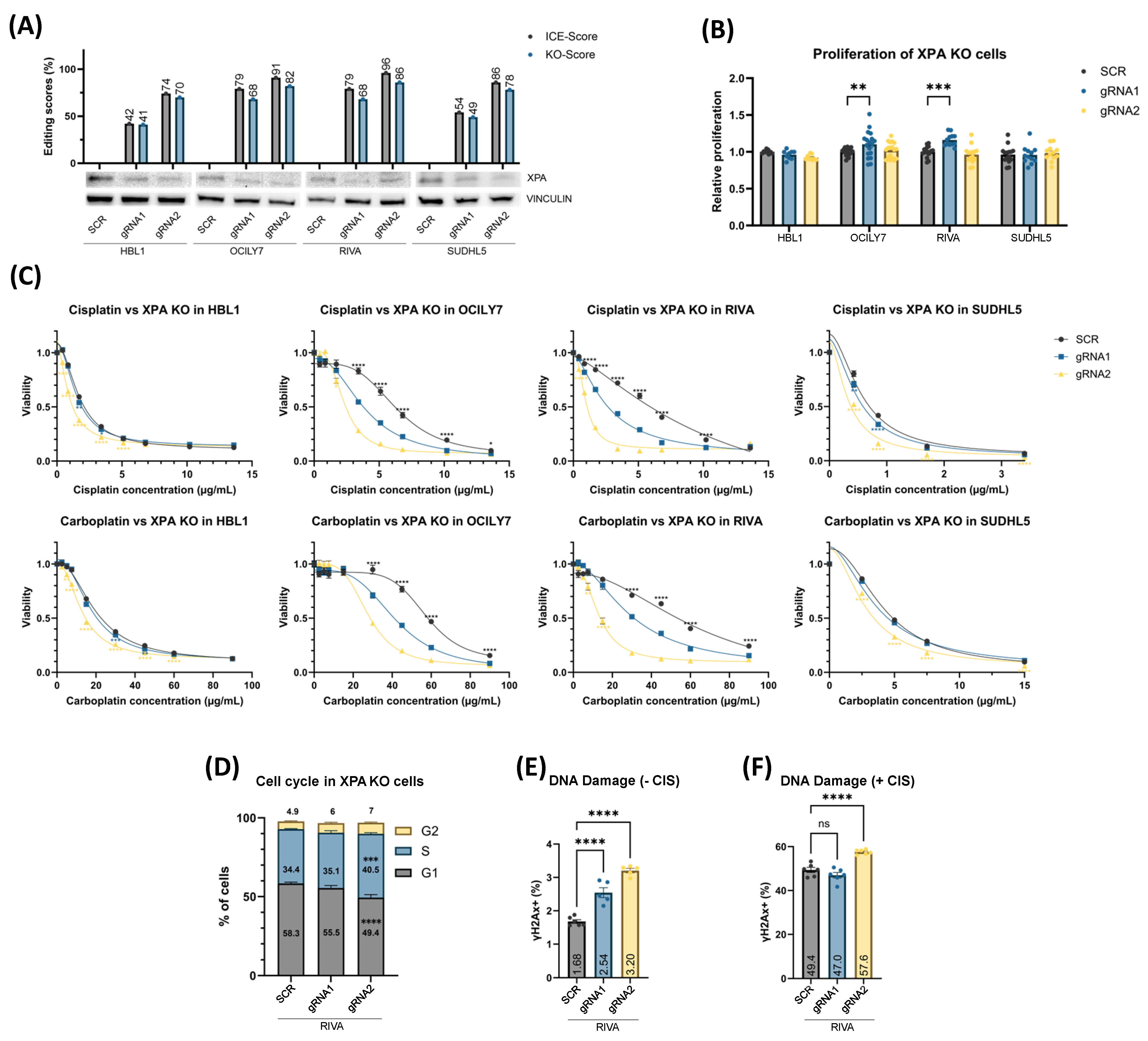 Cancers 16 02437 g002