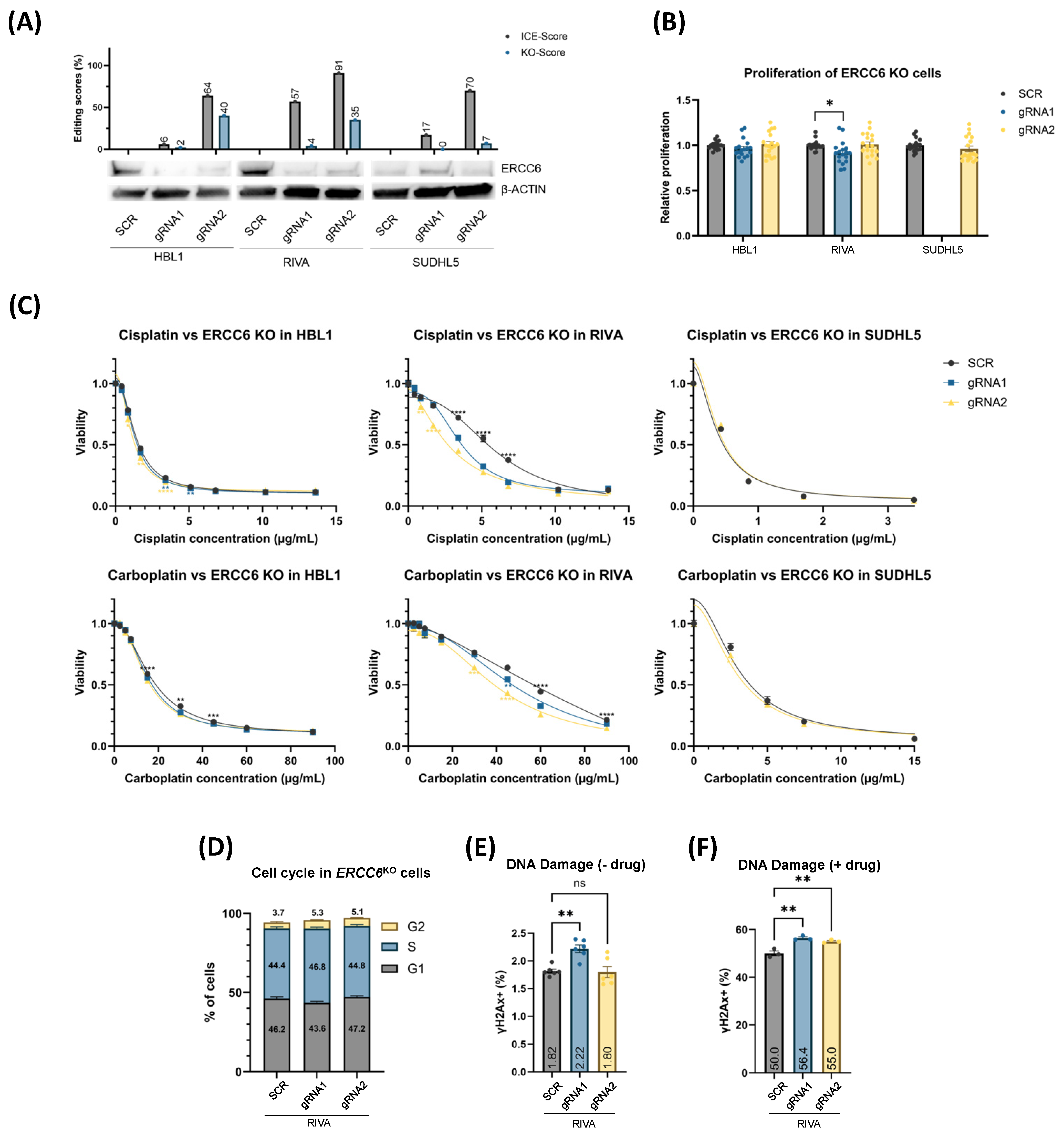 Cancers 16 02437 g003