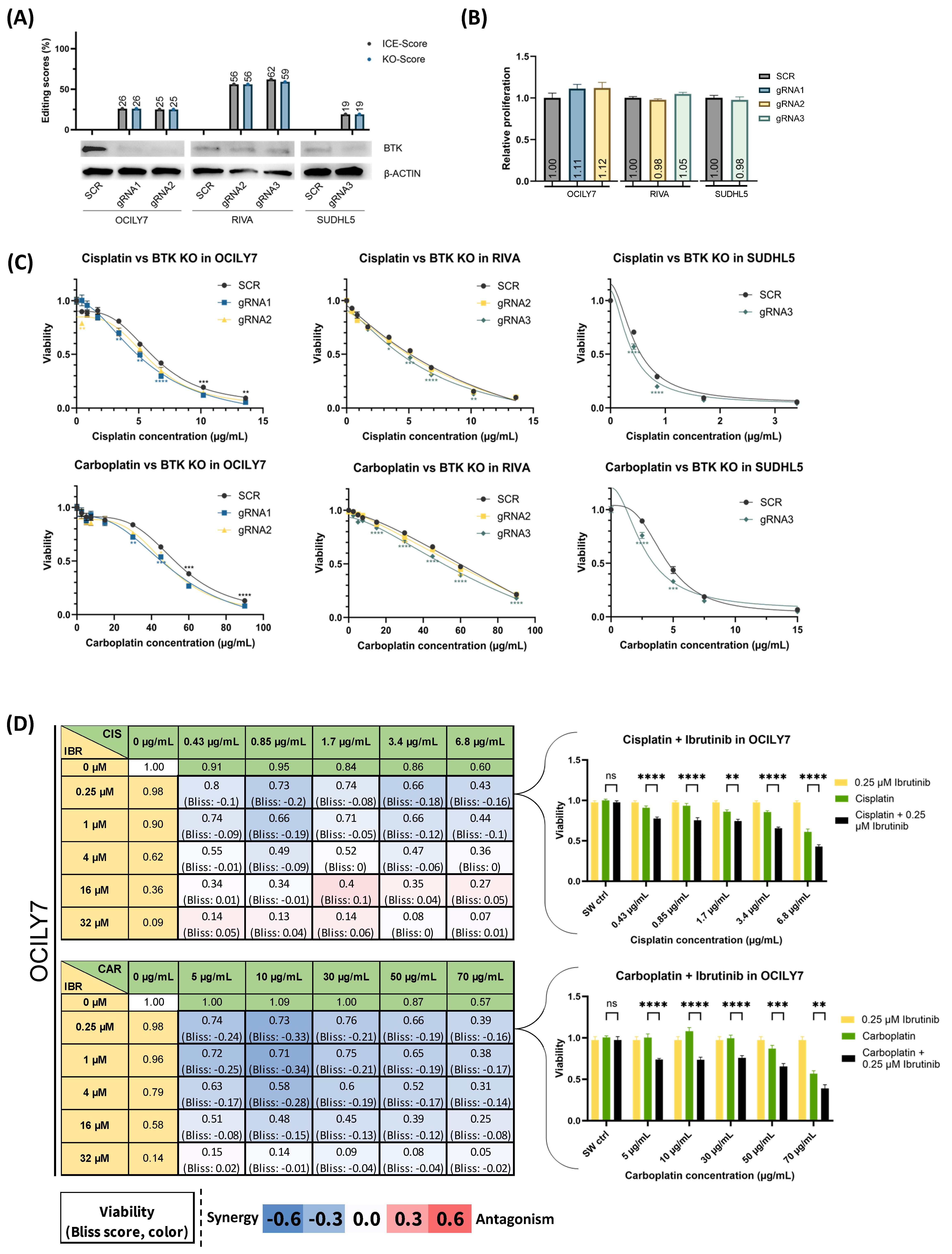 Cancers 16 02437 g004