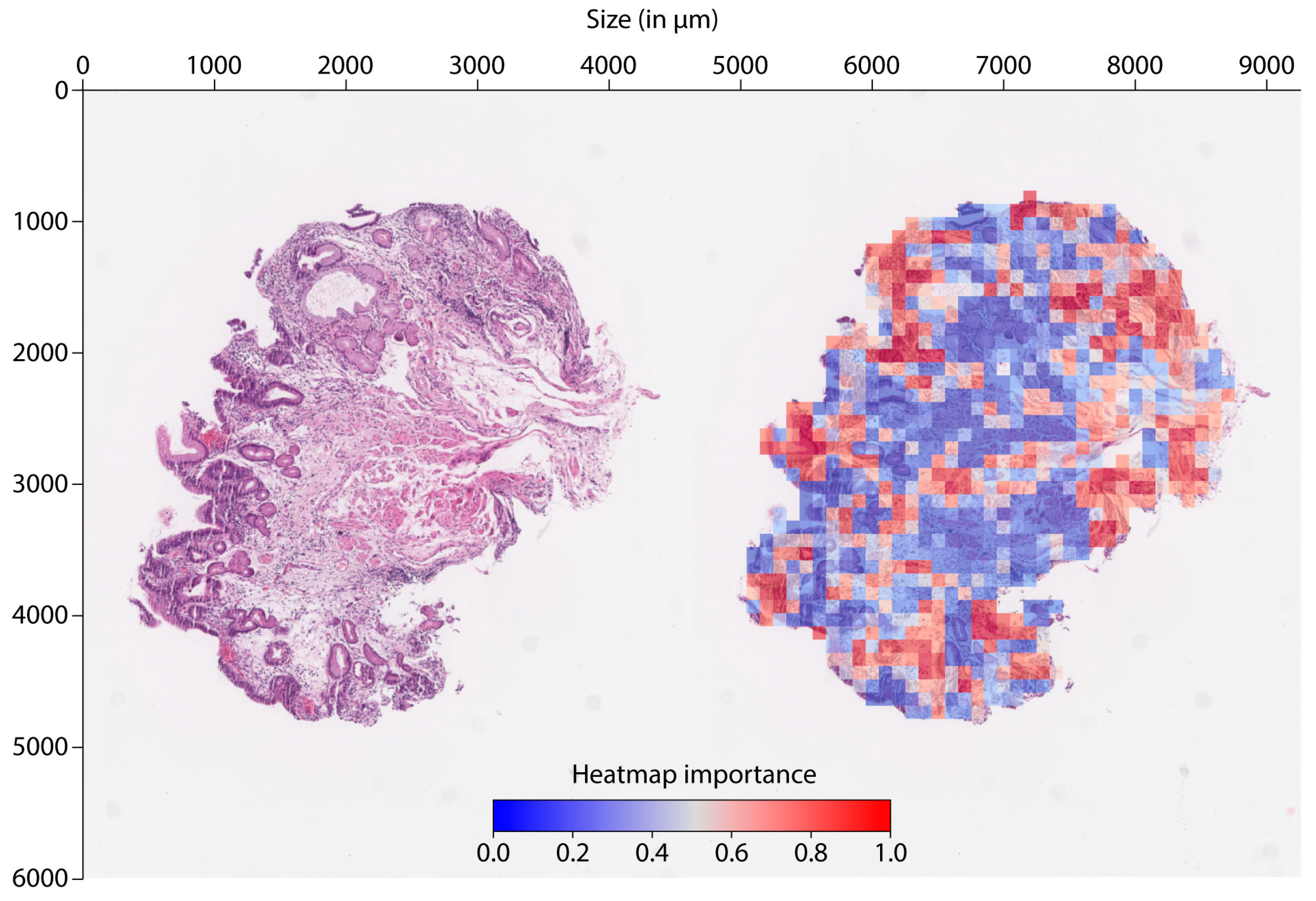 Cancers 16 02445 g005