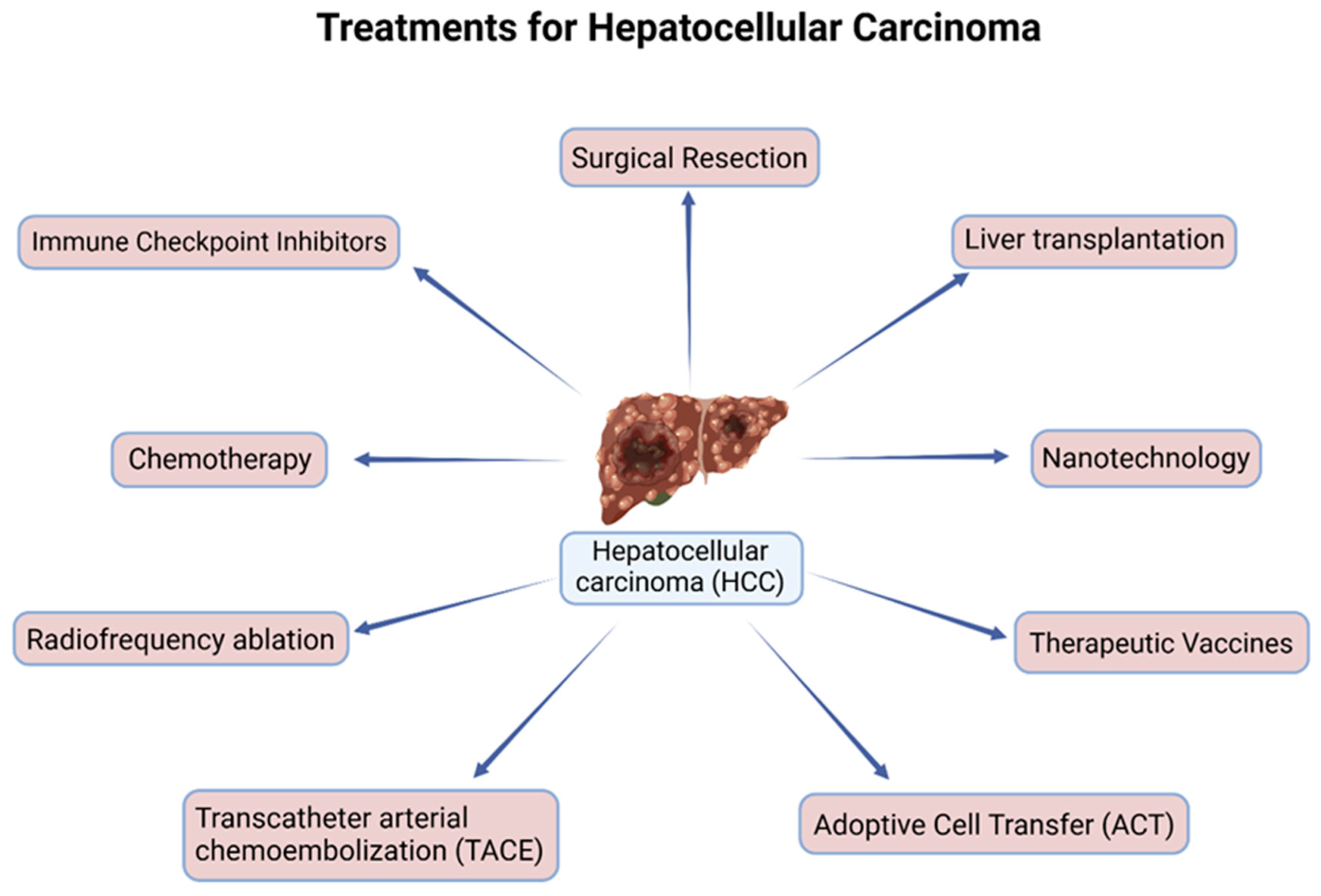 Cancers 16 02446 g002