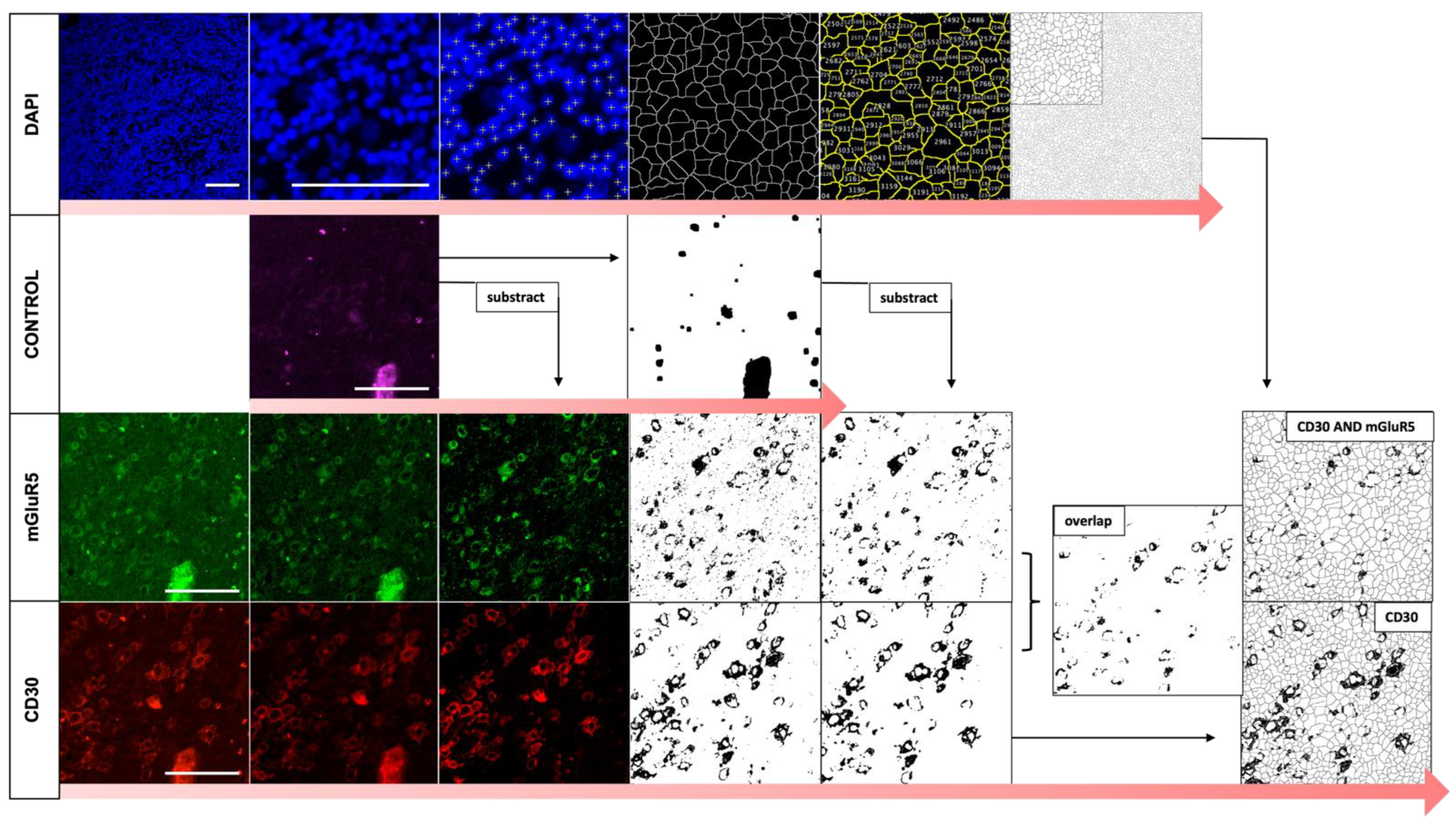 Cancers 16 02452 g003