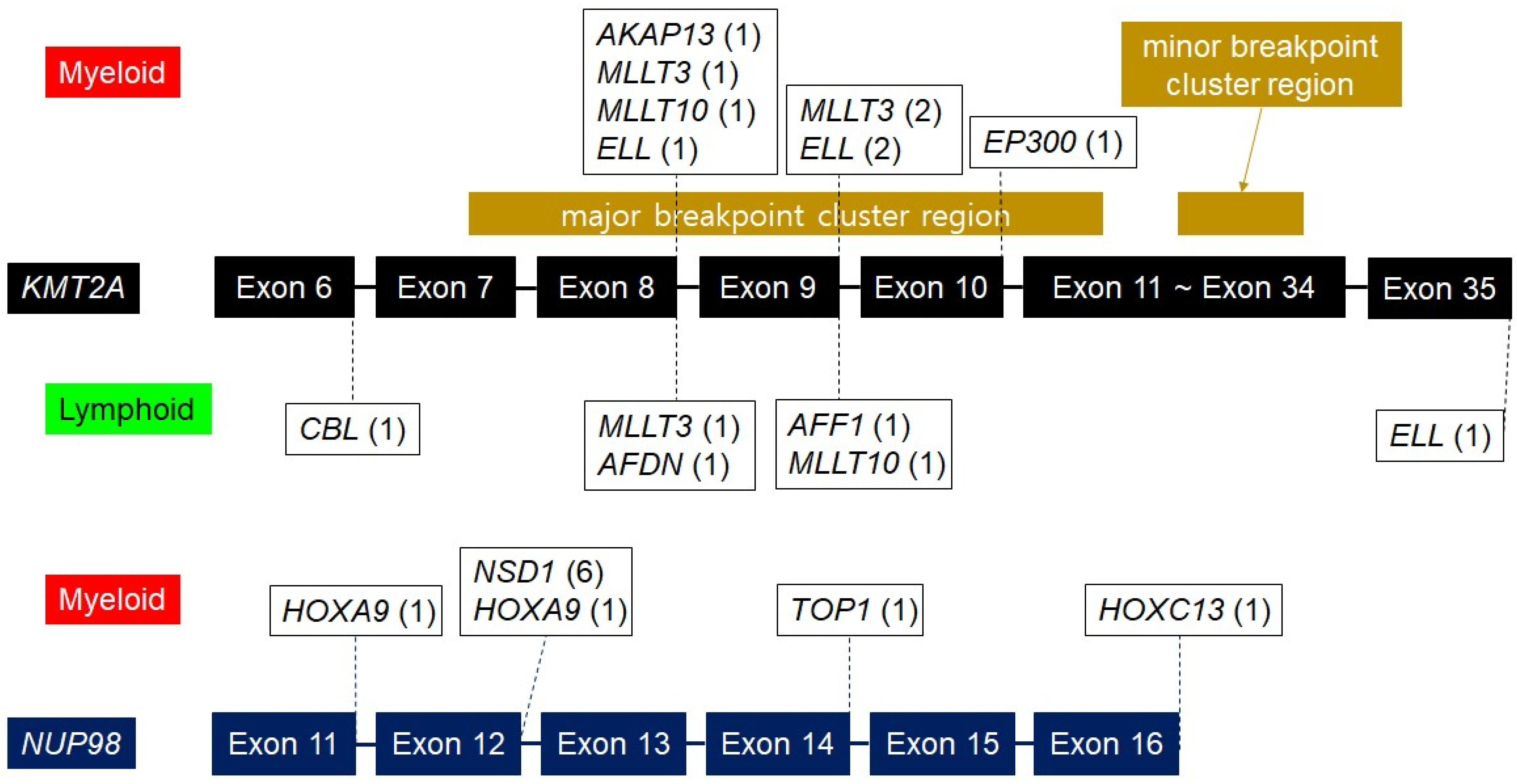 Cancers 16 02467 g003