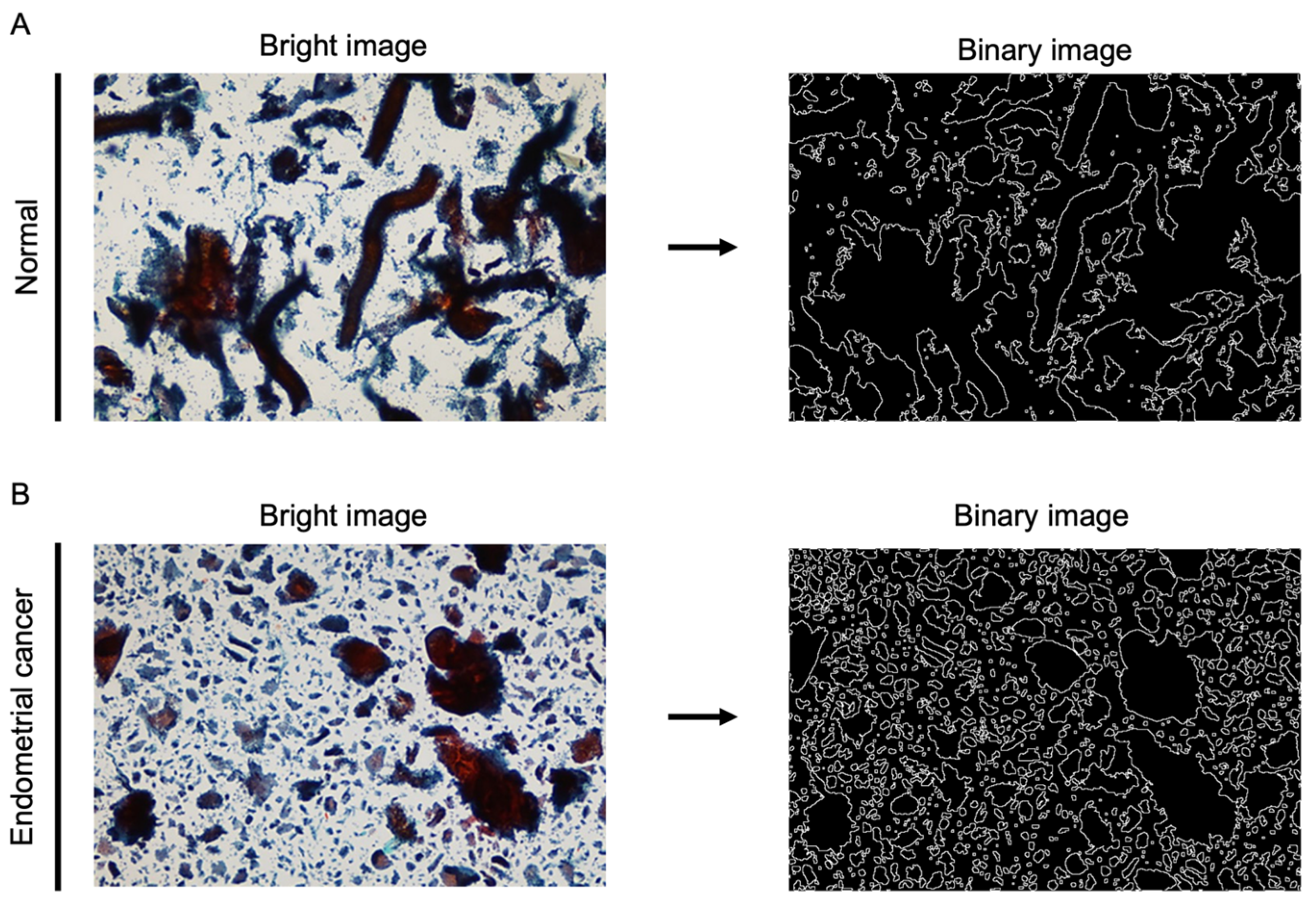 Cancers 16 02469 g001