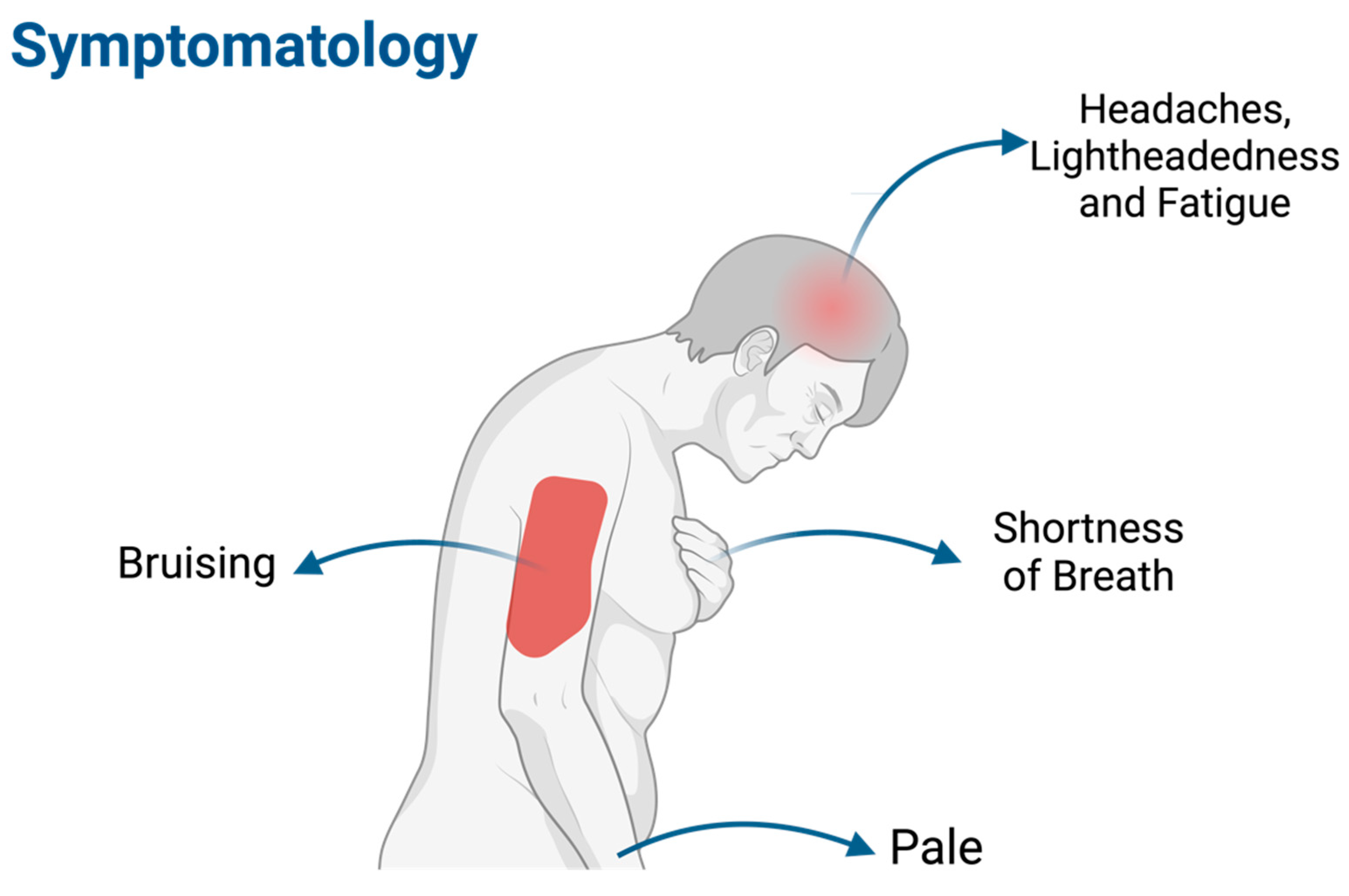 Cancers 16 02474 g003