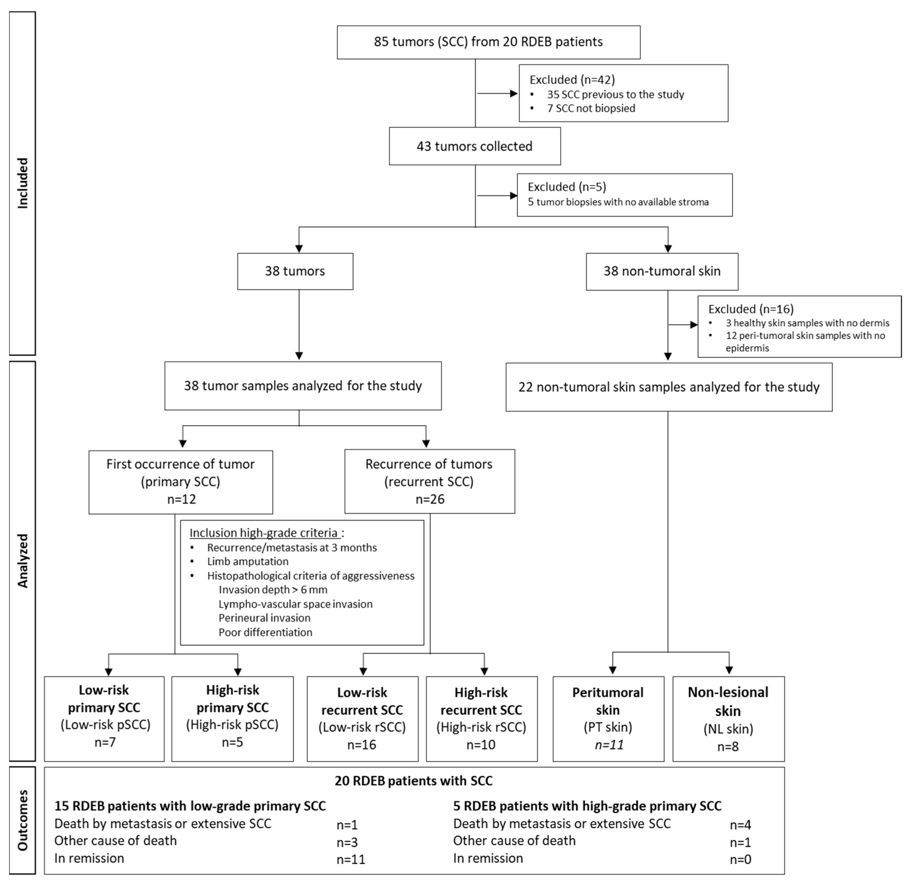 Cancers 16 02476 g001