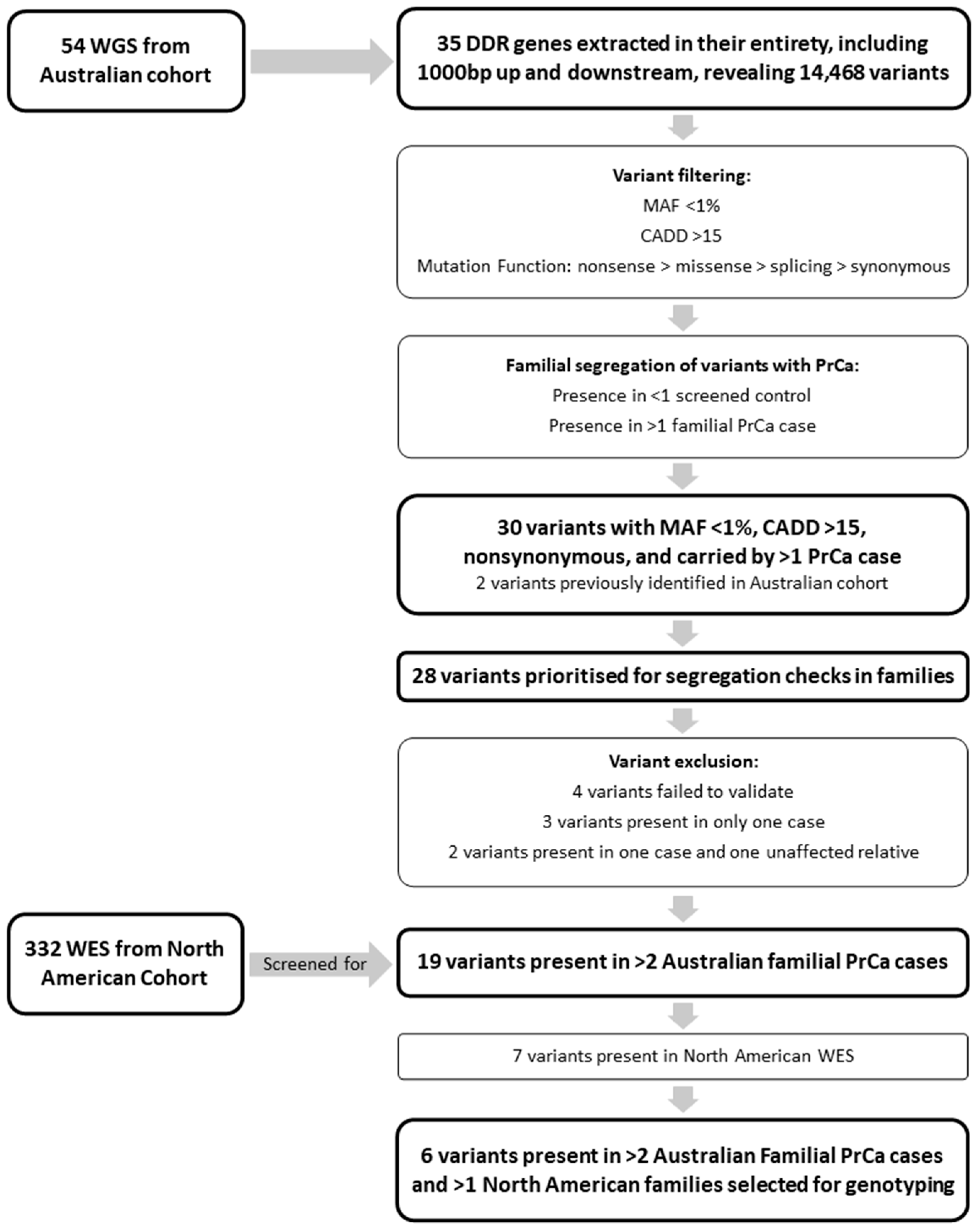 Cancers 16 02482 g001