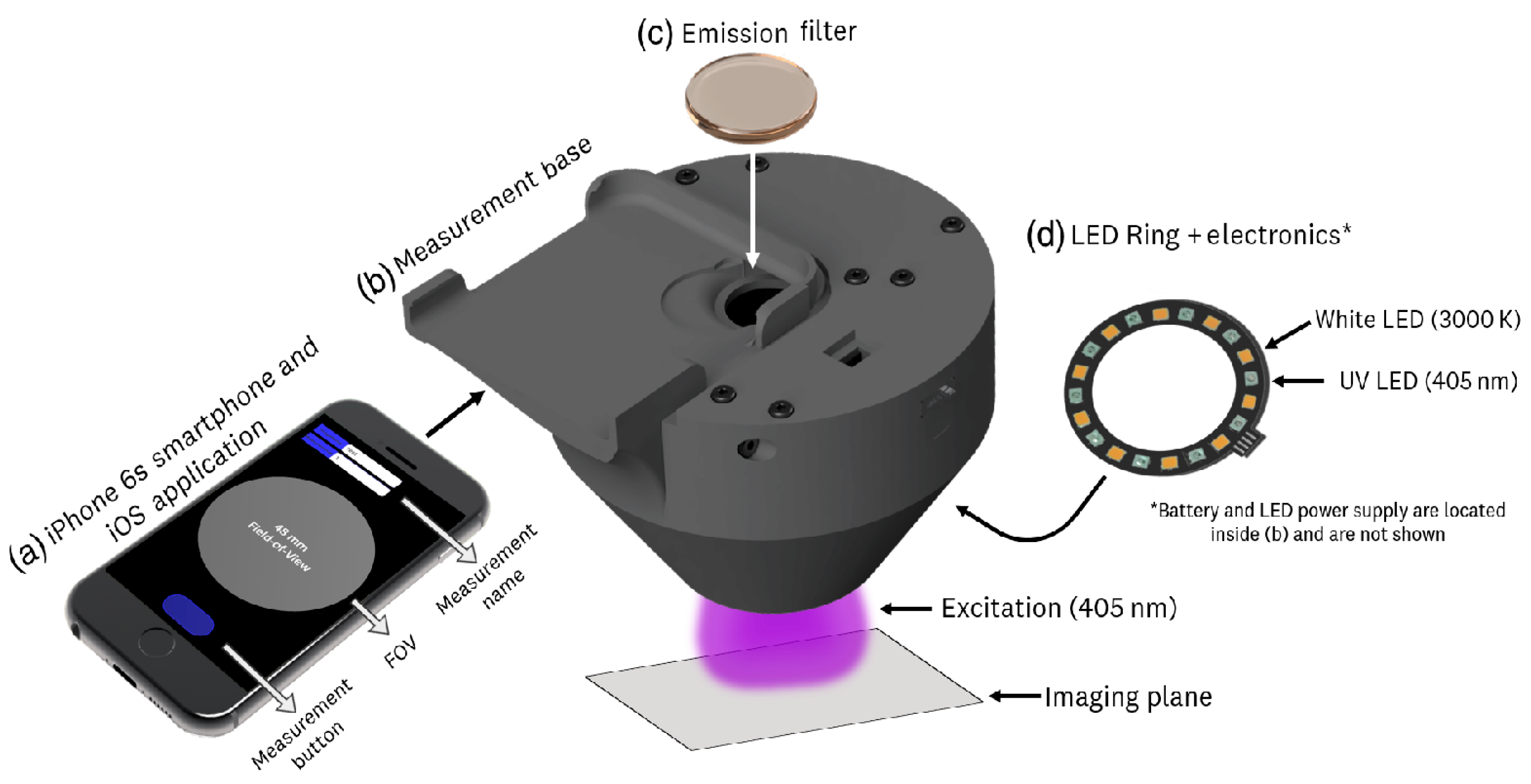 Cancers 16 02484 g003 Cancers 16 02484 g003