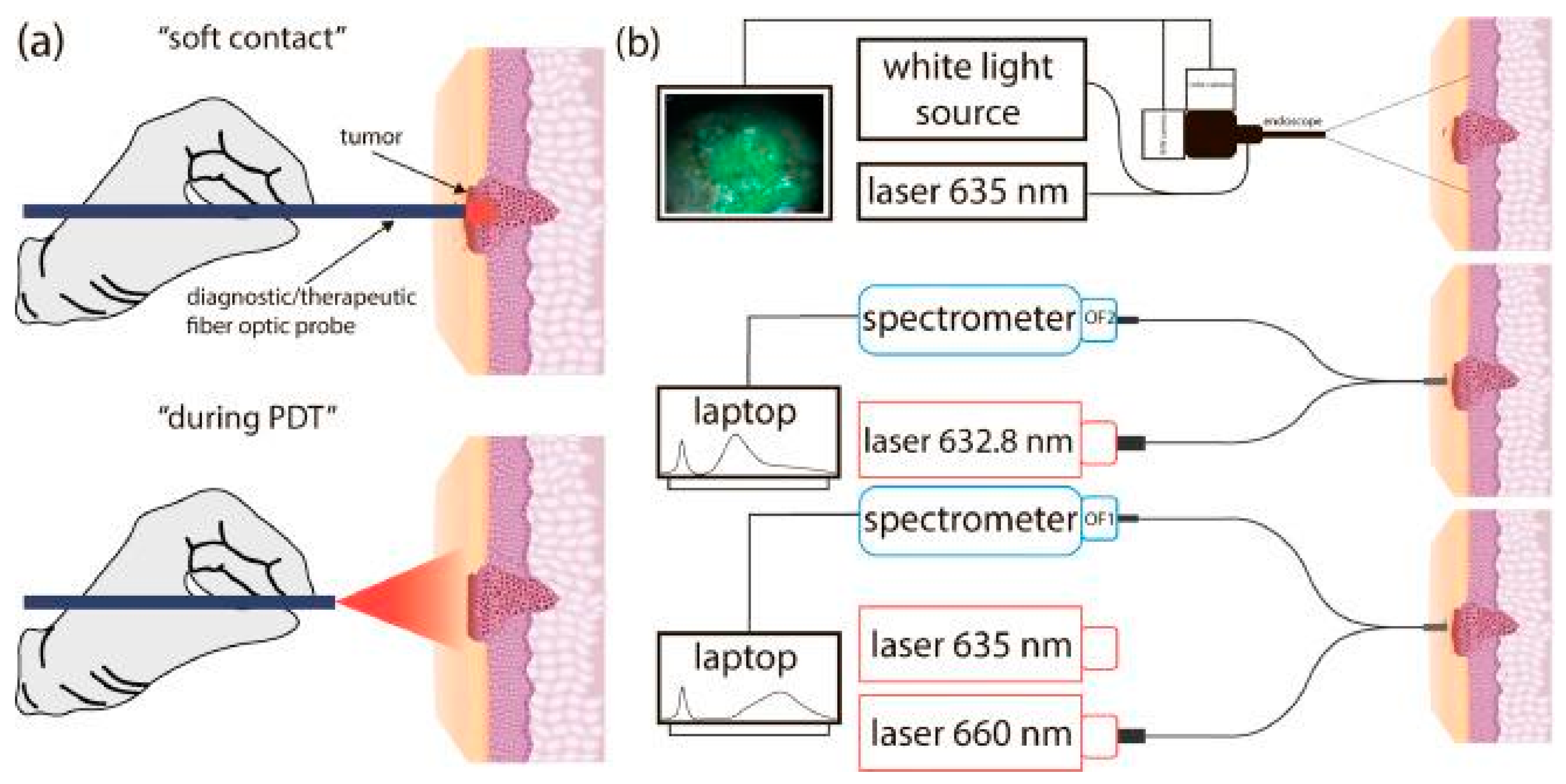 Cancers 16 02484 g004 Cancers 16 02484 g004