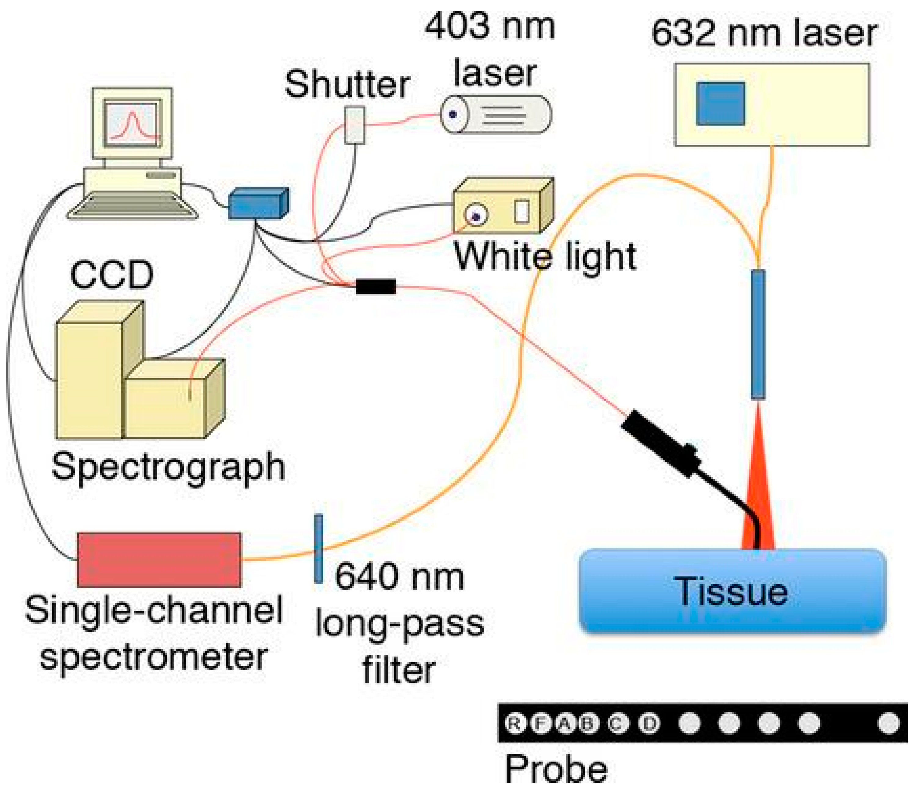 Cancers 16 02484 g008 Cancers 16 02484 g008