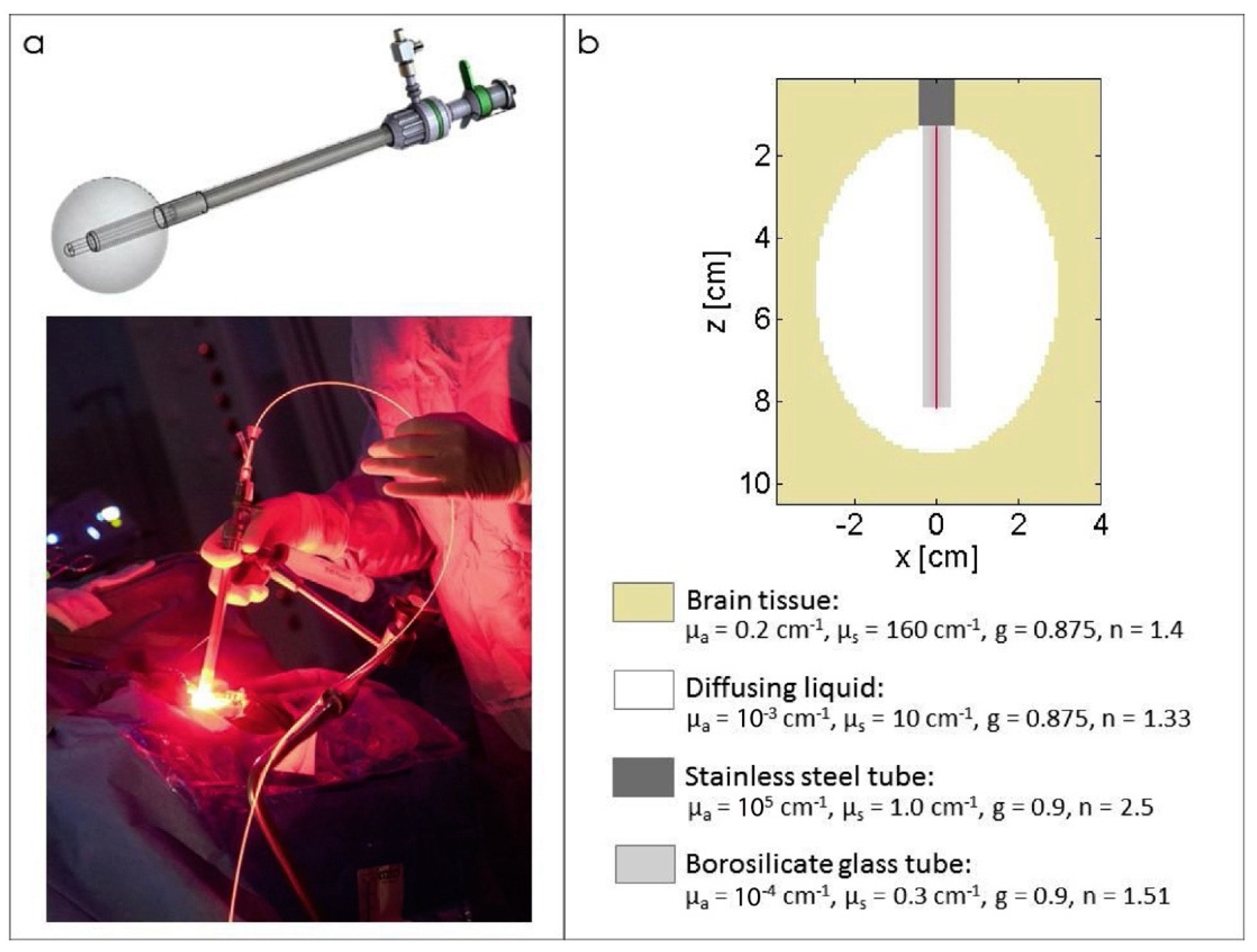 Cancers 16 02484 g012 Cancers 16 02484 g012
