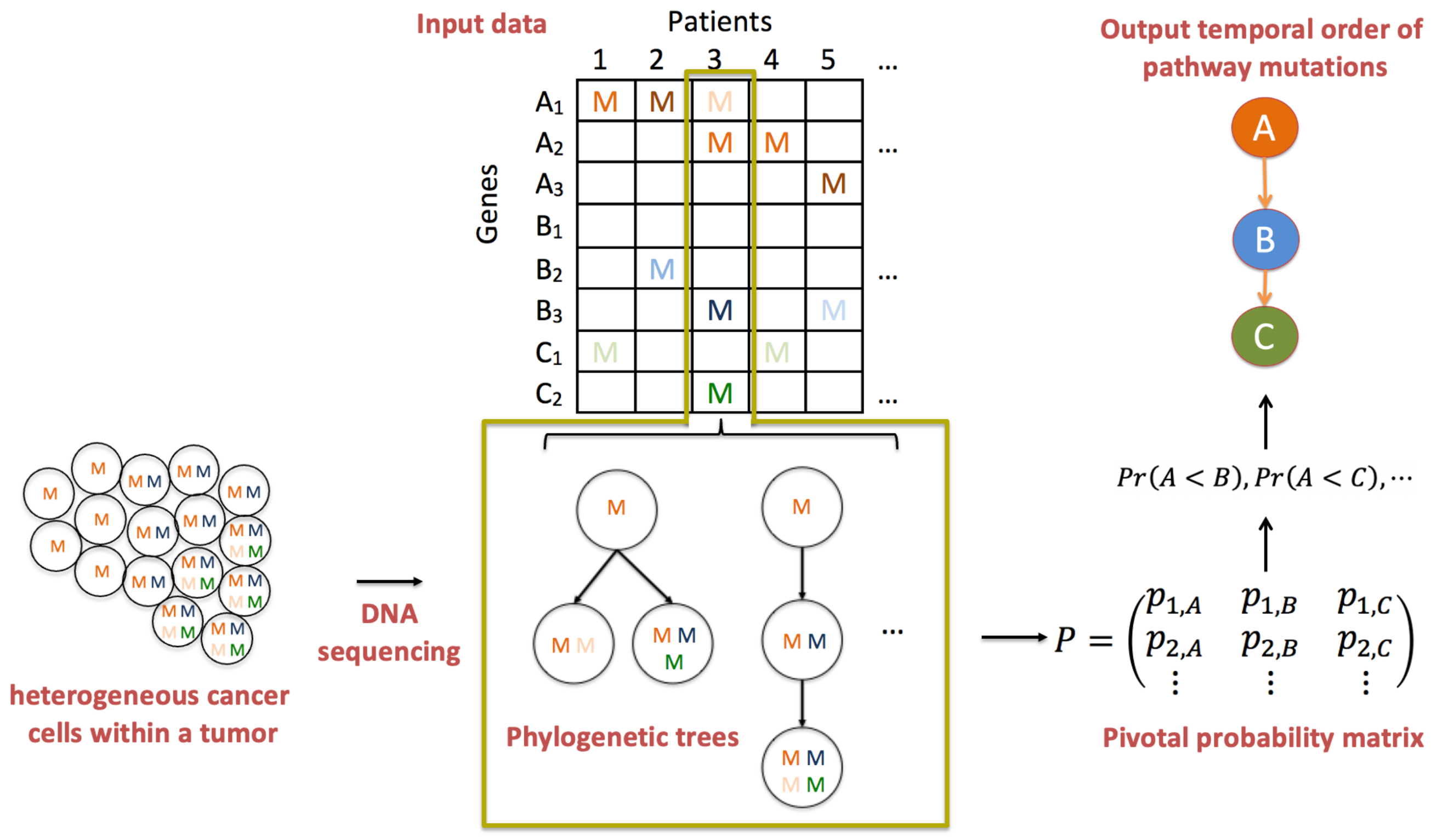 Cancers 16 02488 g002
