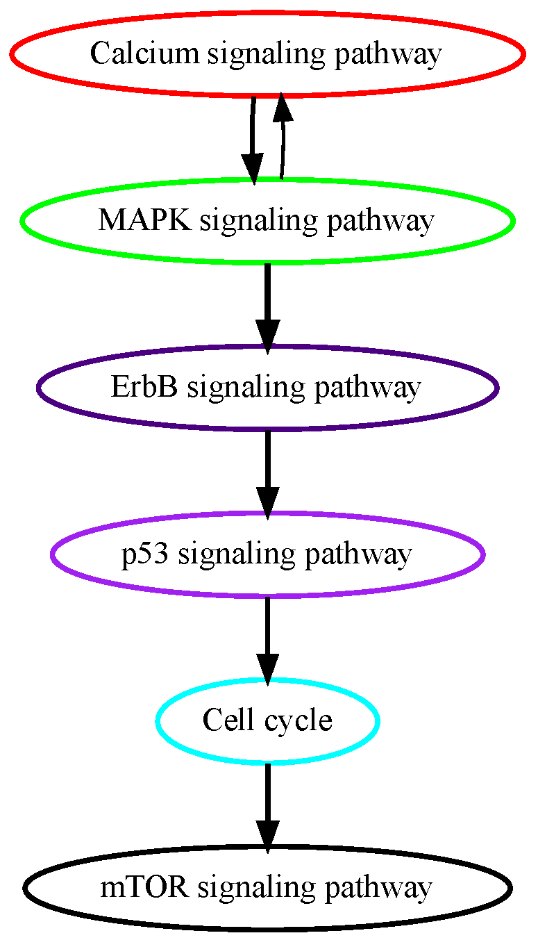 Cancers 16 02488 g004