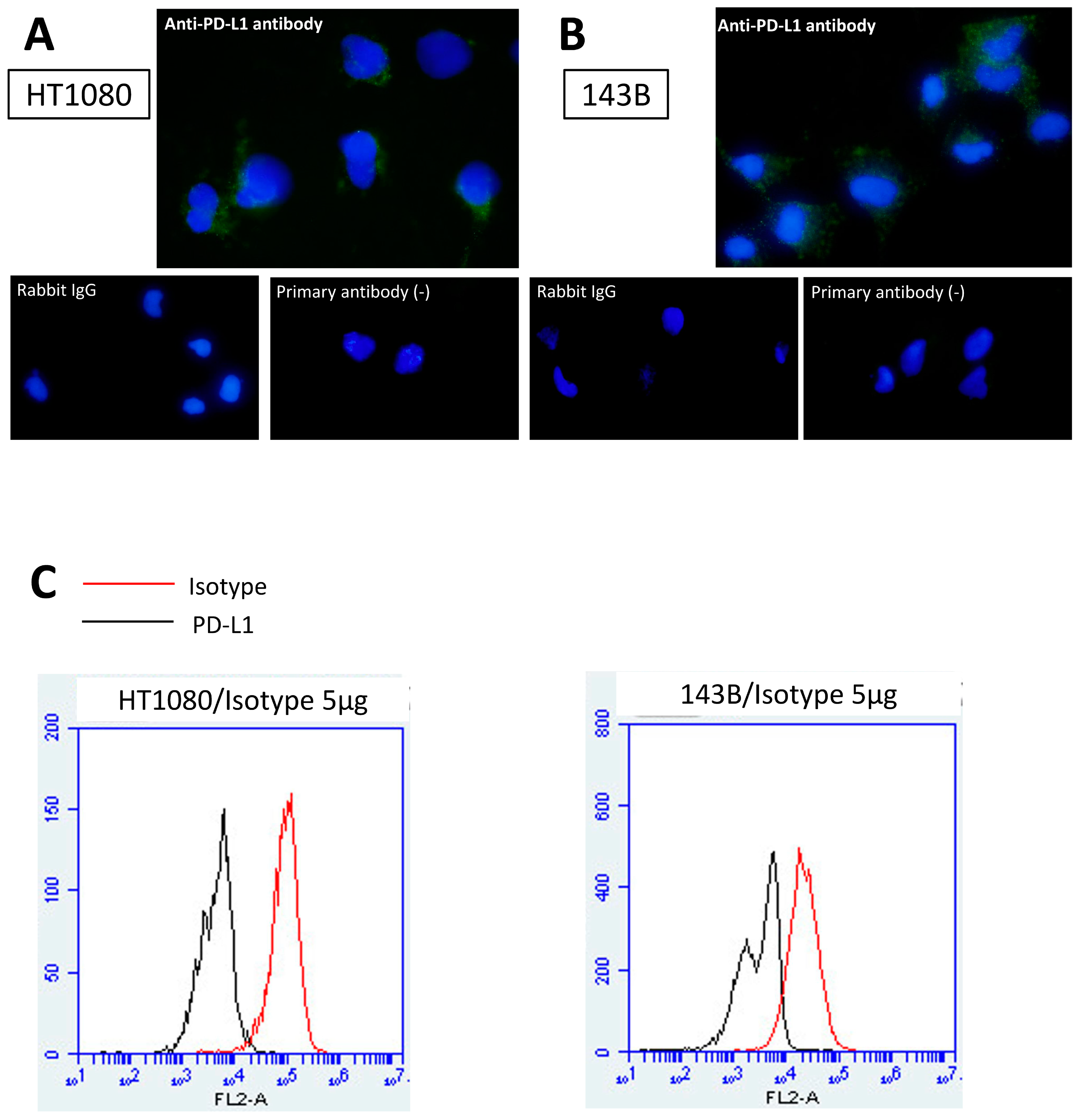 Cancers 16 02489 g001