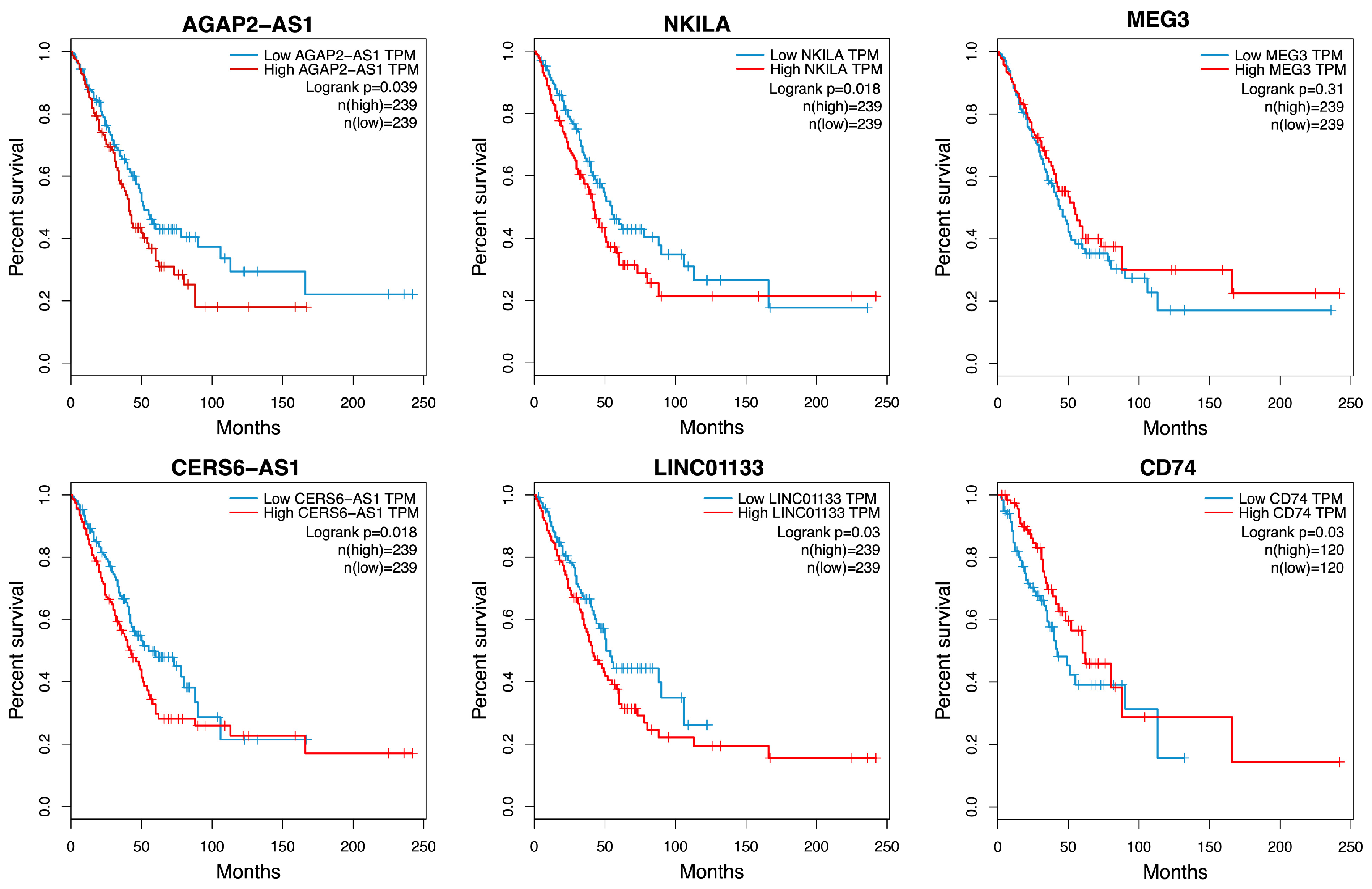 Cancers 16 02490 g004