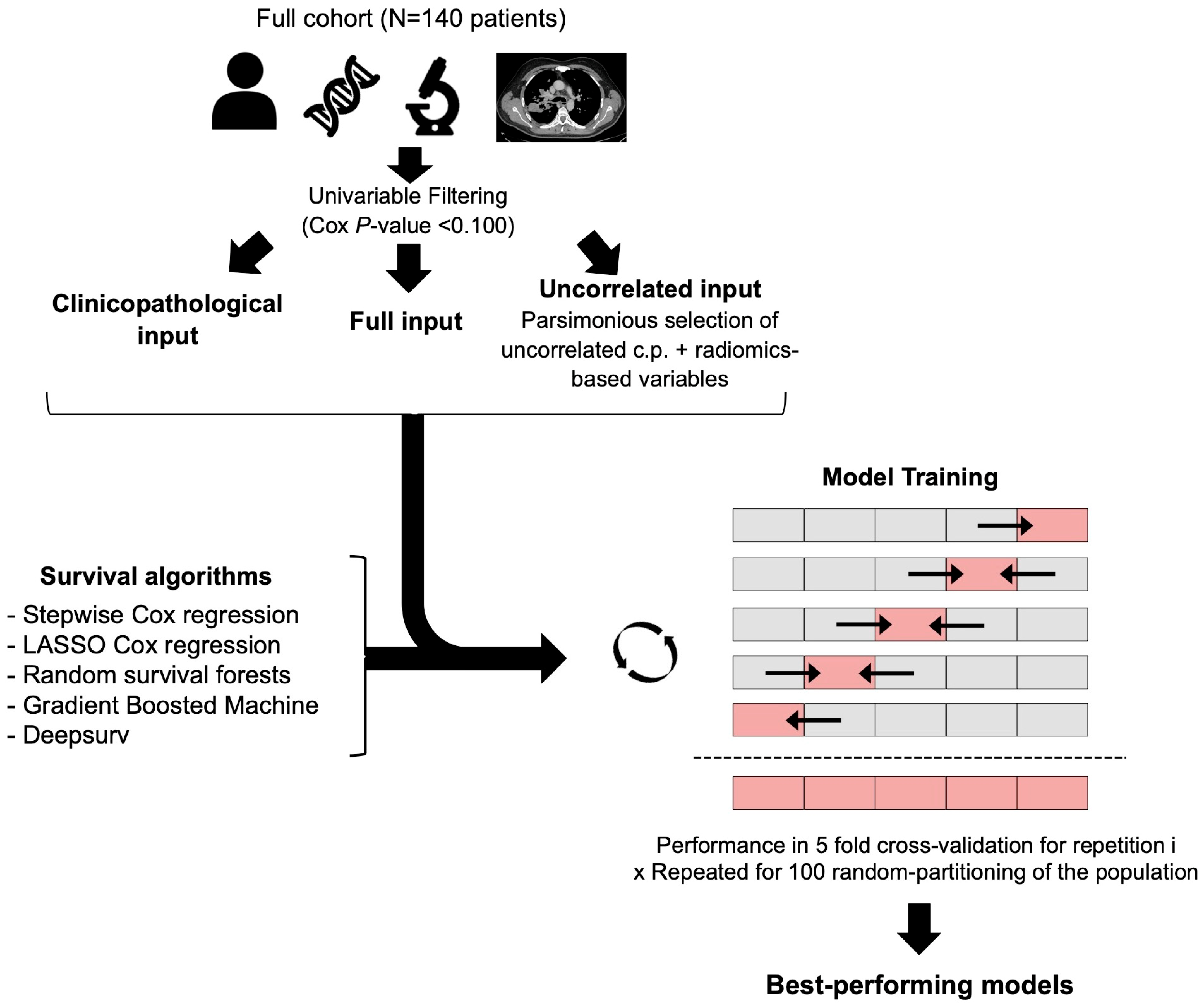 Cancers 16 02491 g003