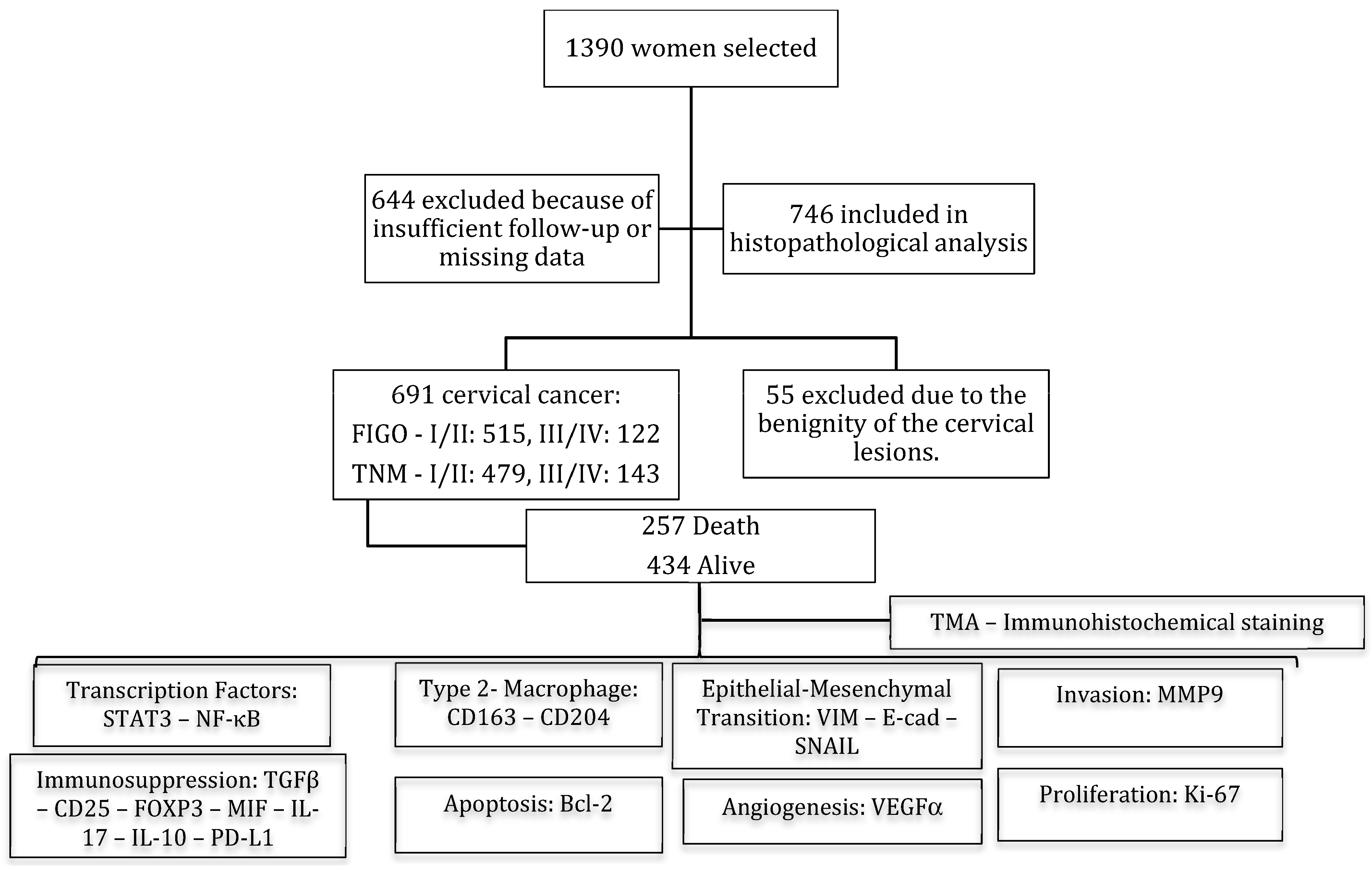 Cancers 16 02496 g001