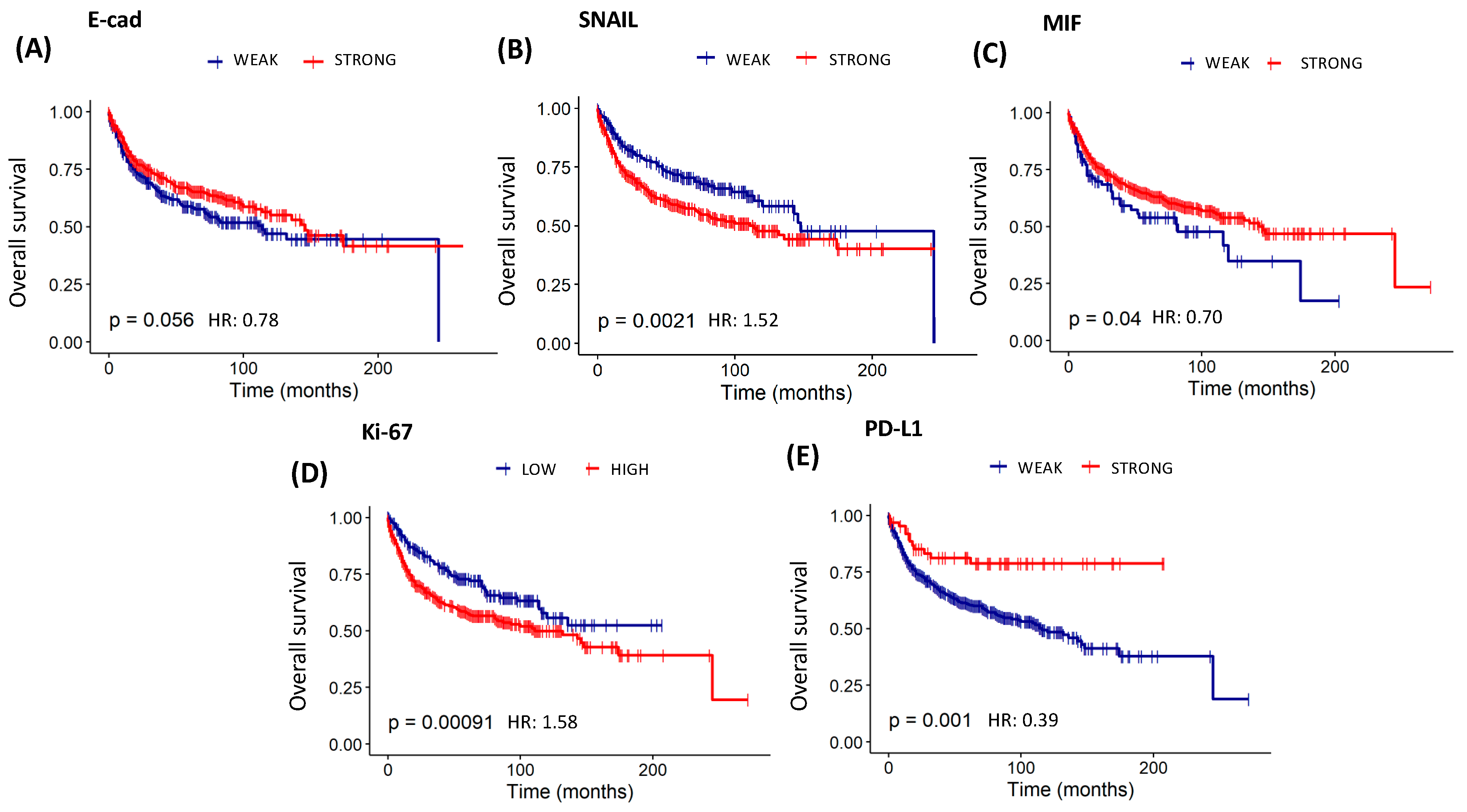 Cancers 16 02496 g006