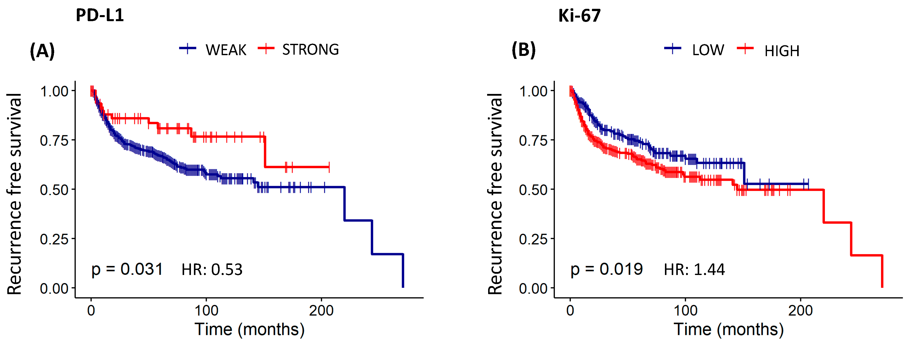 Cancers 16 02496 g007