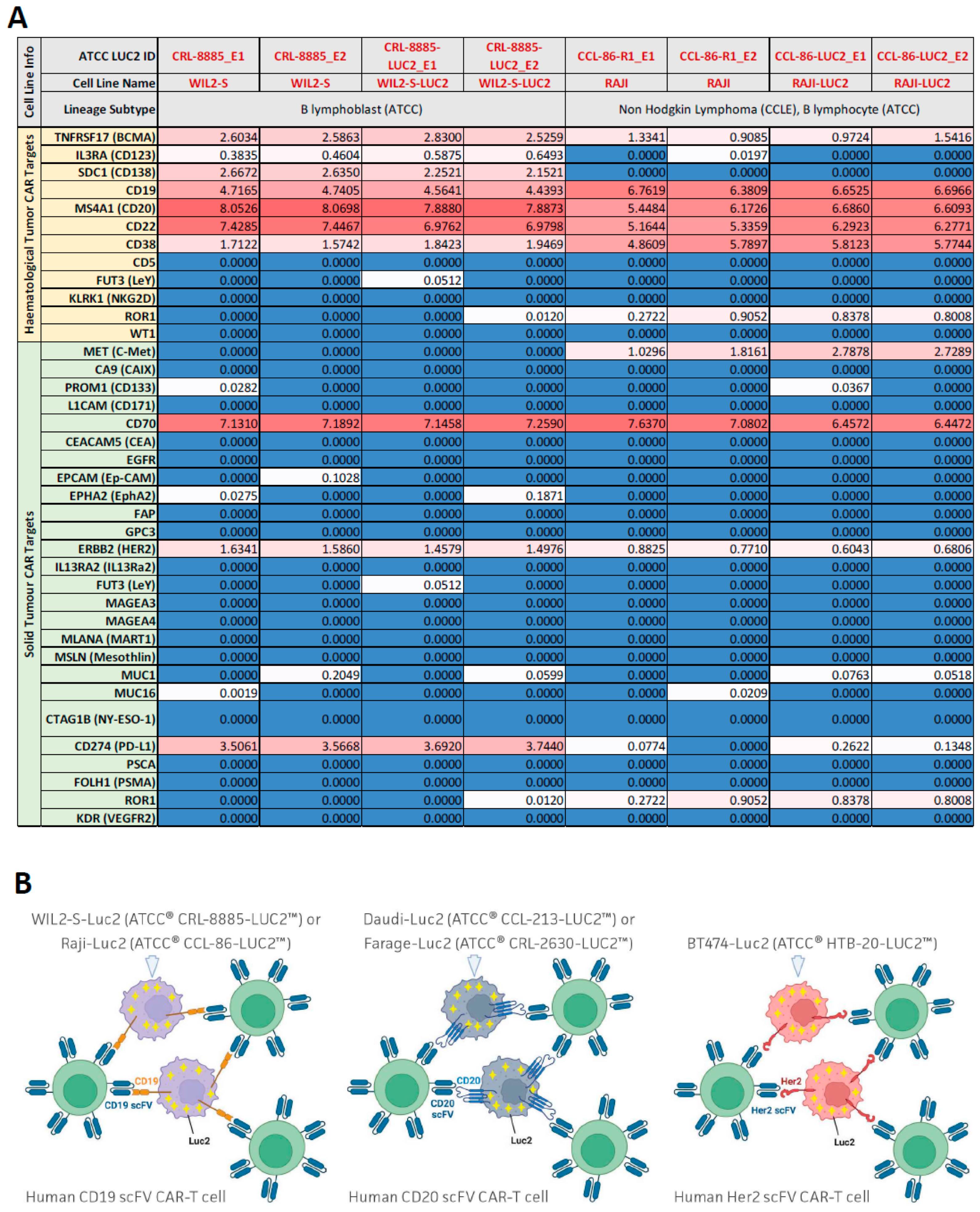 Cancers 16 02497 g002