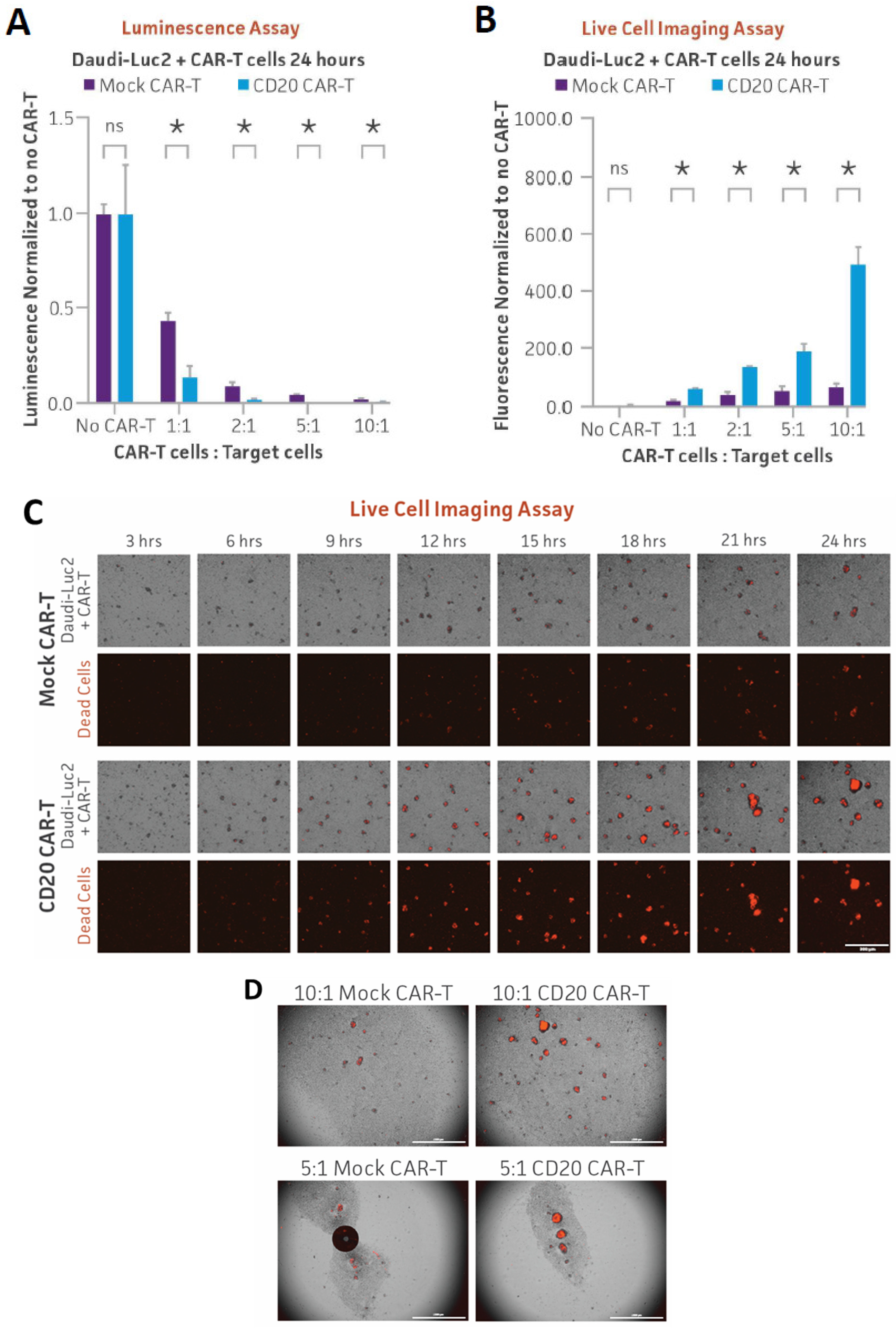 Cancers 16 02497 g006