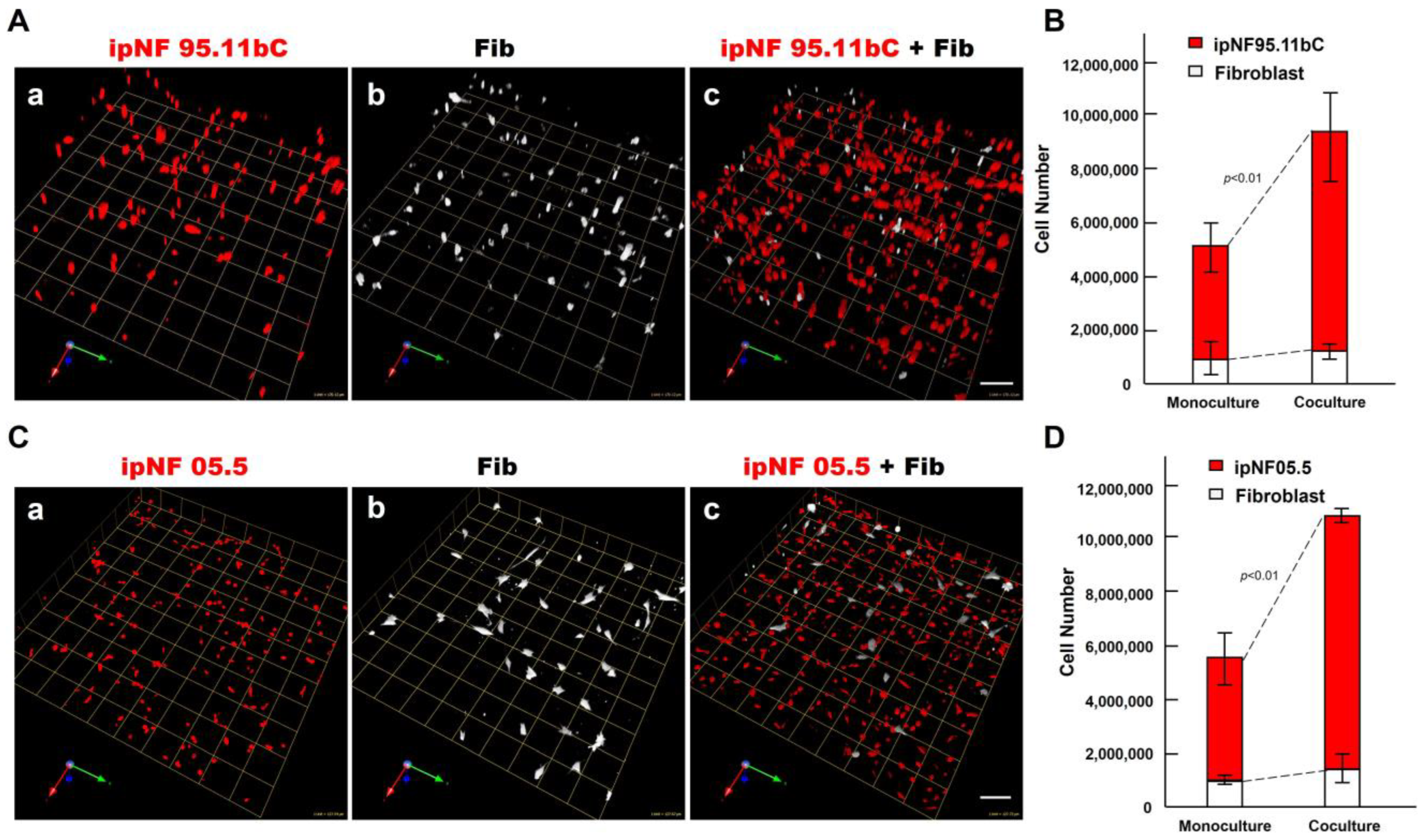 Cancers 16 02498 g002