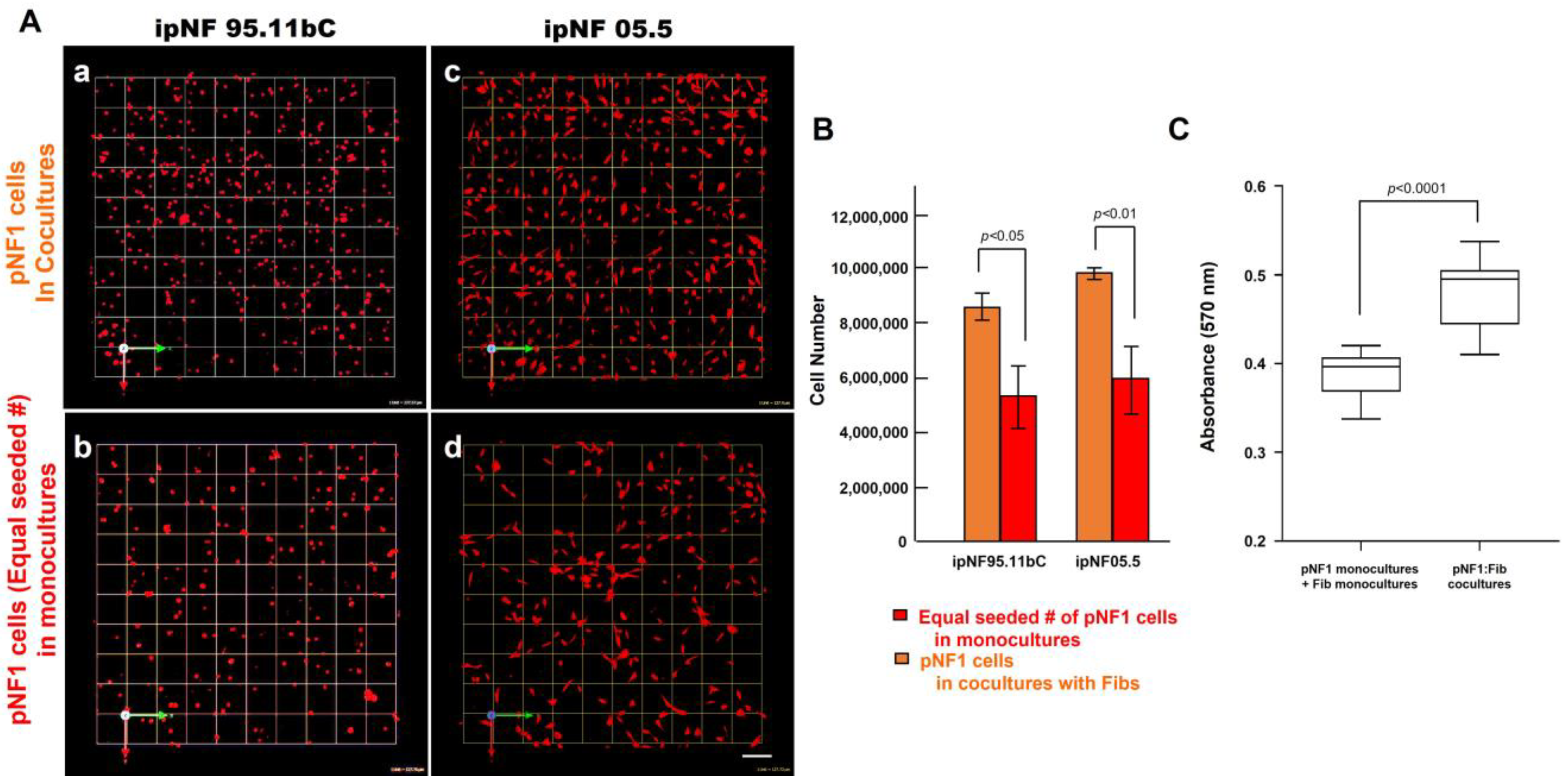 Cancers 16 02498 g003