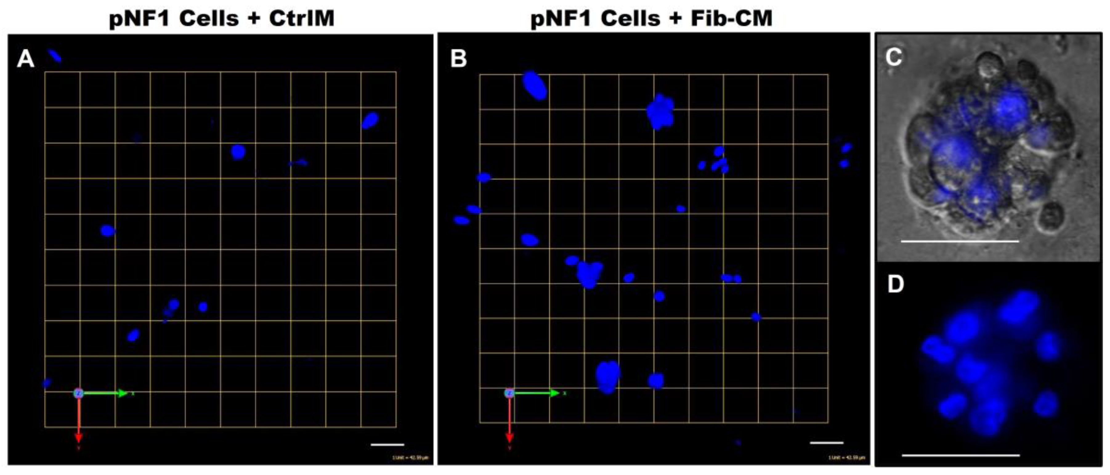 Cancers 16 02498 g005