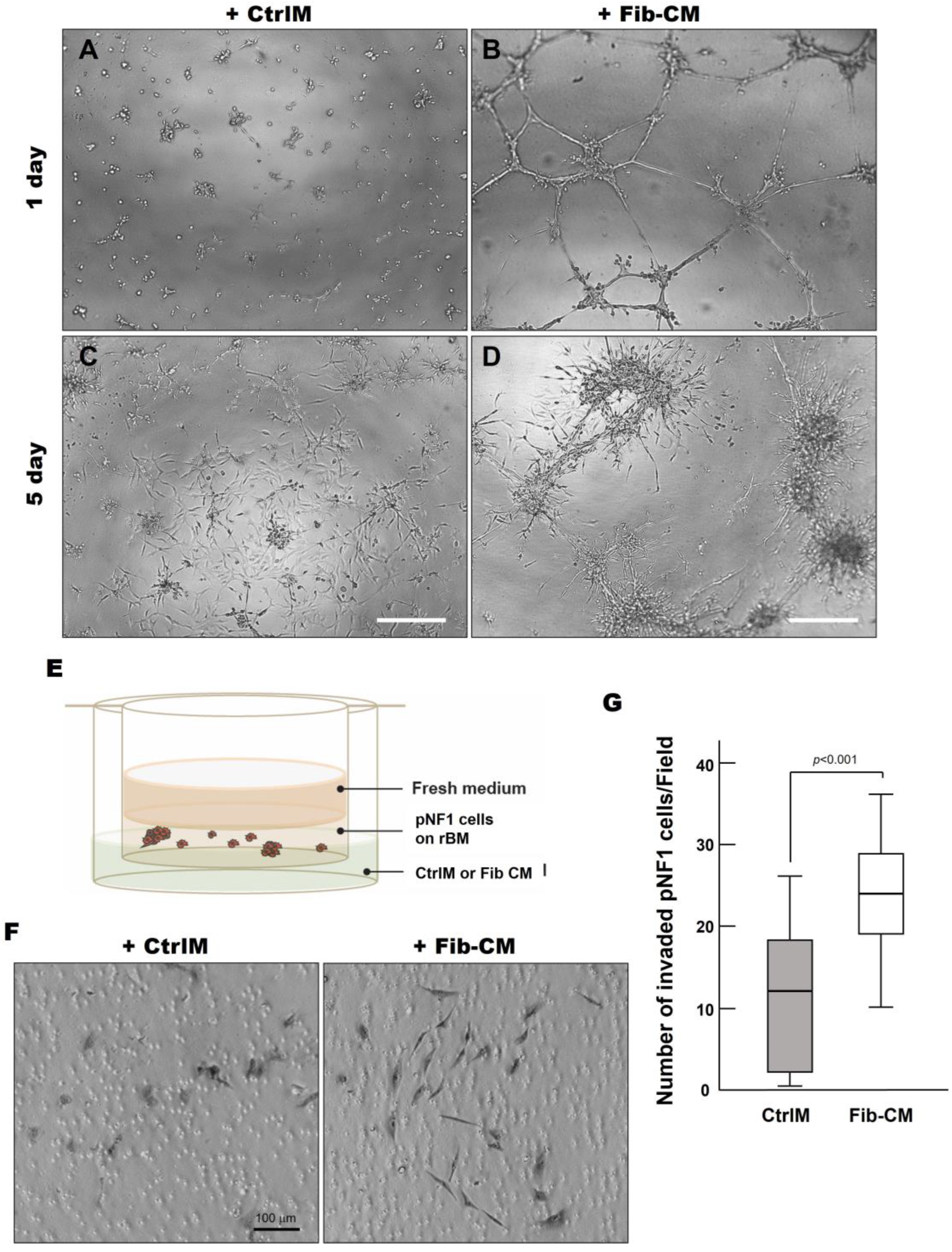 Cancers 16 02498 g006