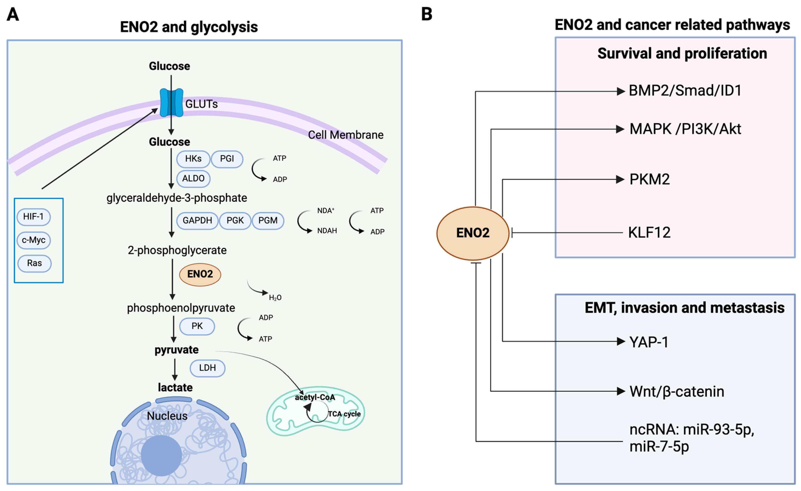 Cancers 16 02503 g001