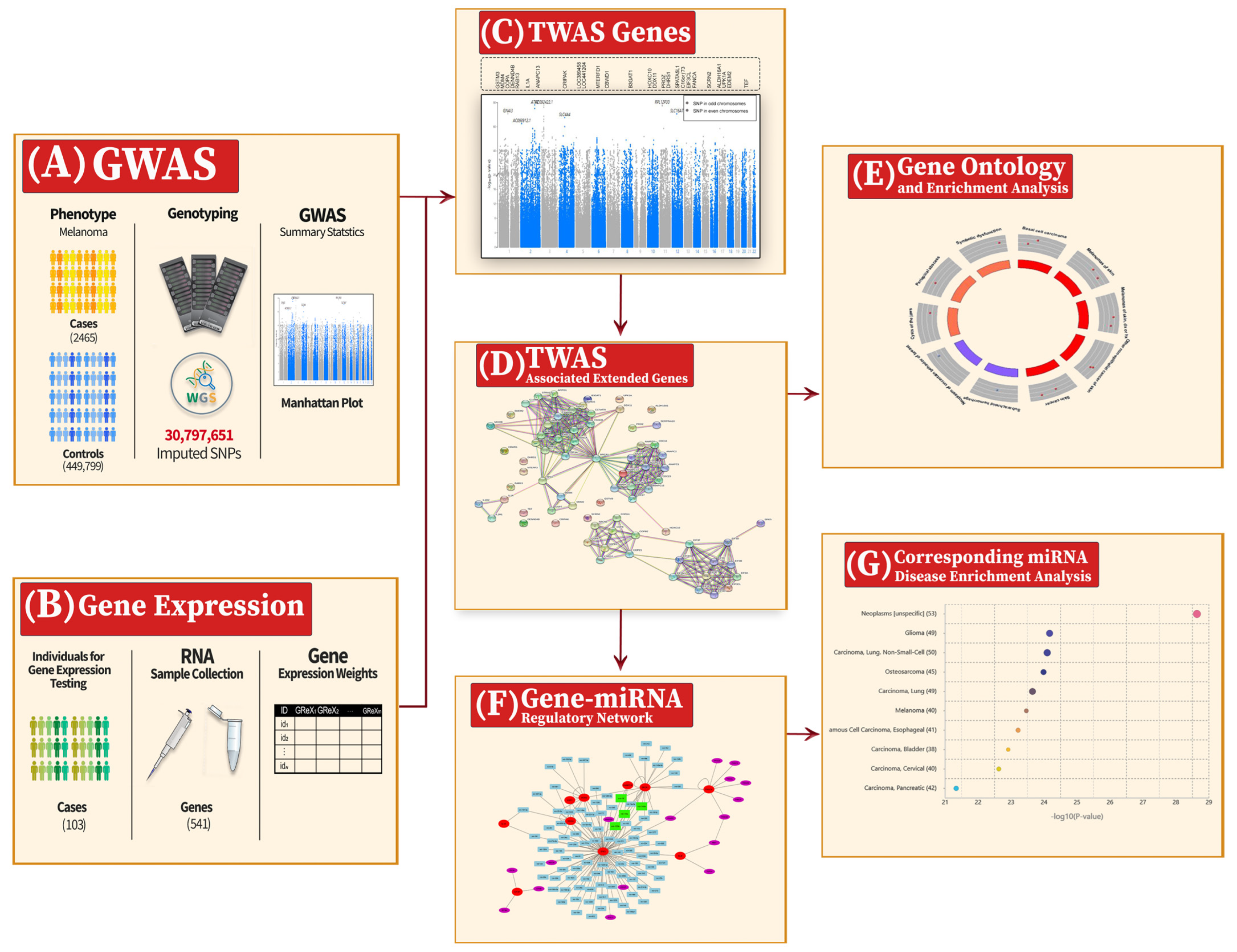 Cancers 16 02517 g001