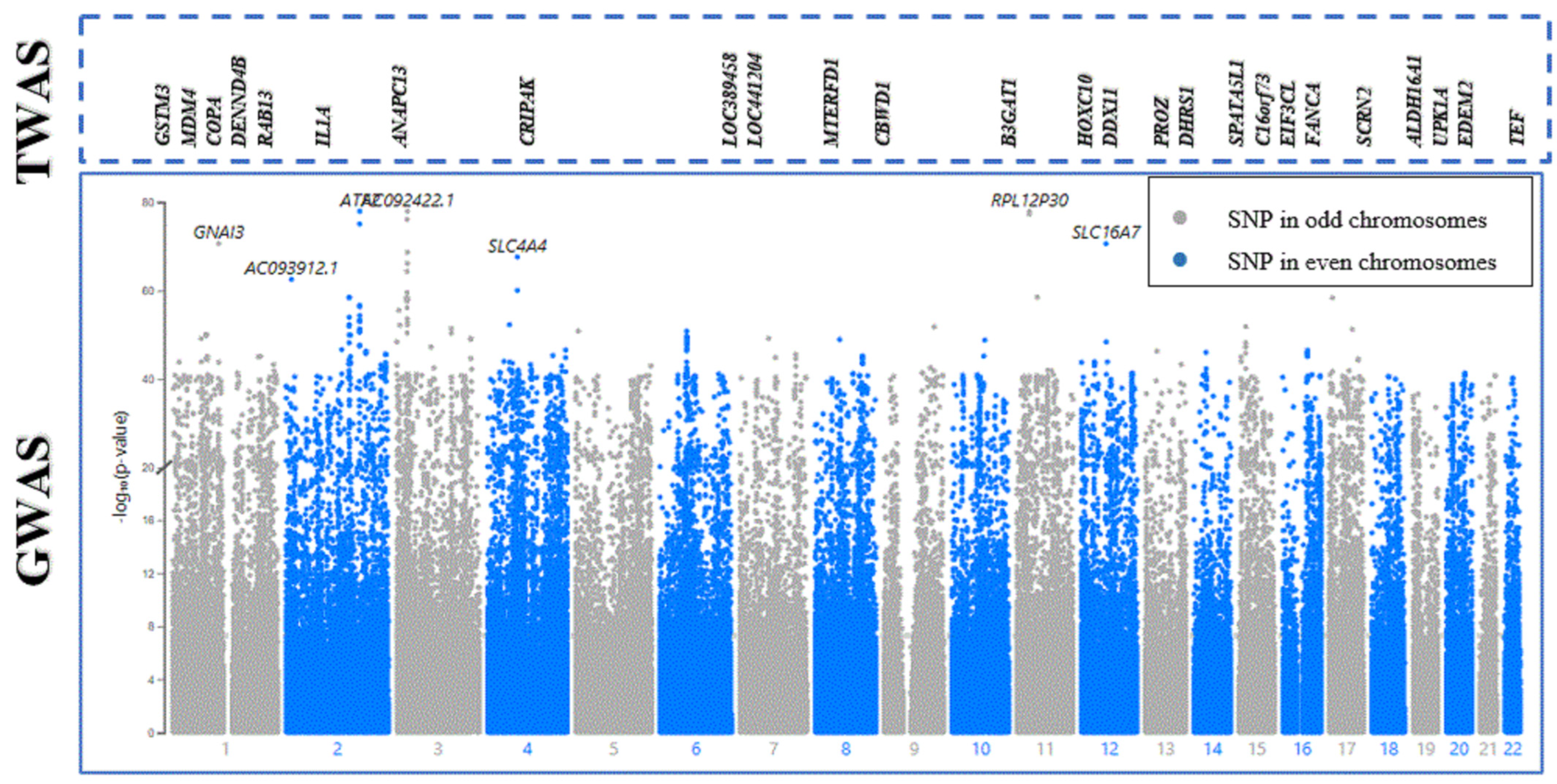 Cancers 16 02517 g003