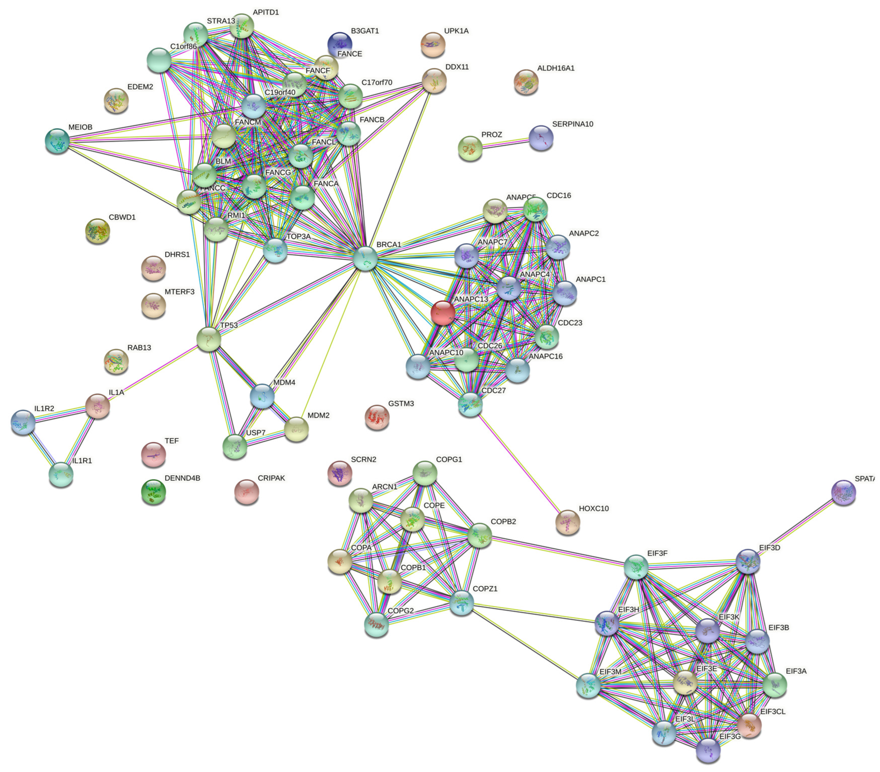 Cancers 16 02517 g004